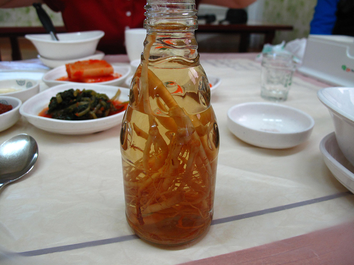 액체에 담긴 인삼 뿌리