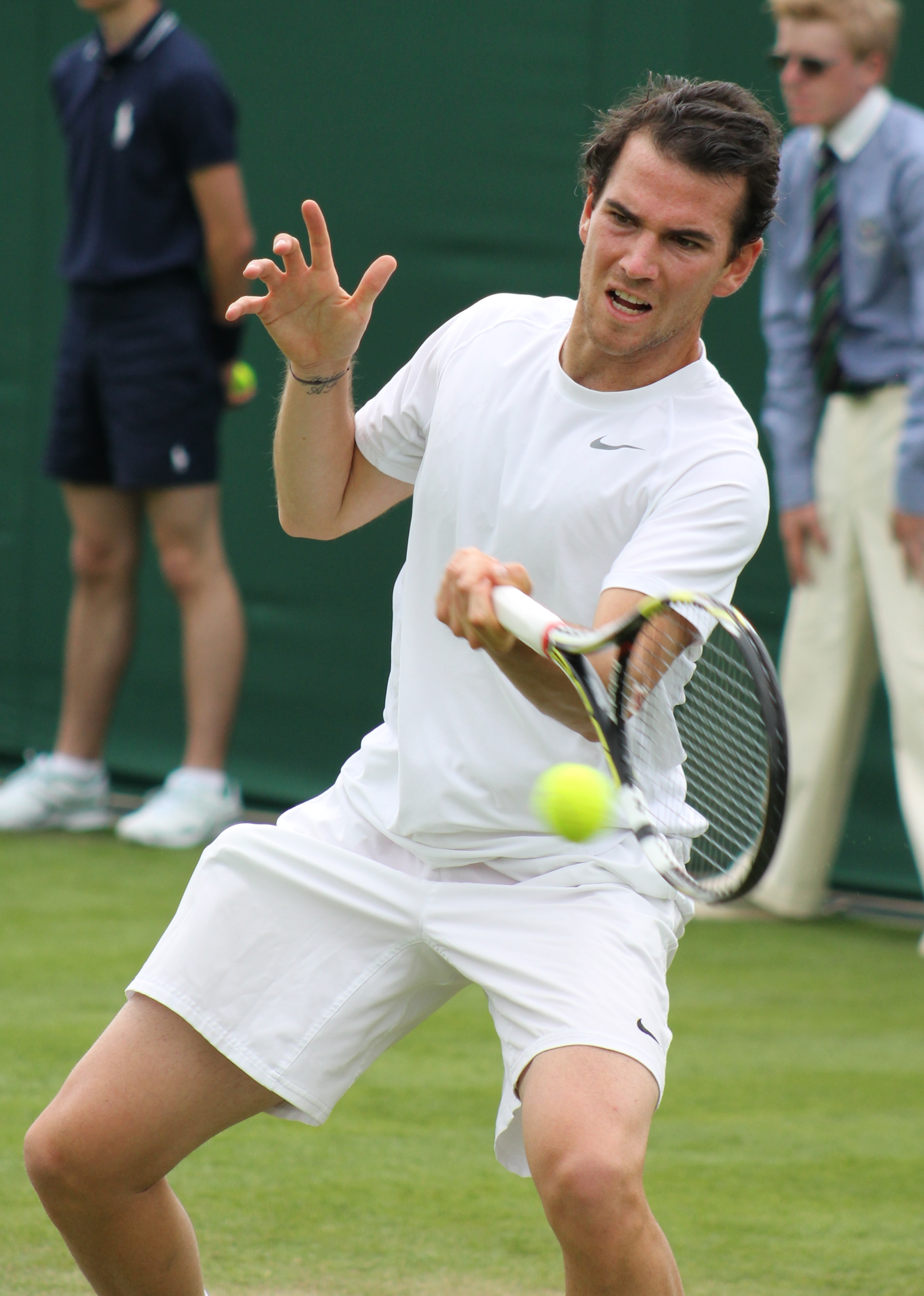 2013年ウィンブルドン選手権でのアドリアン・マナリノ