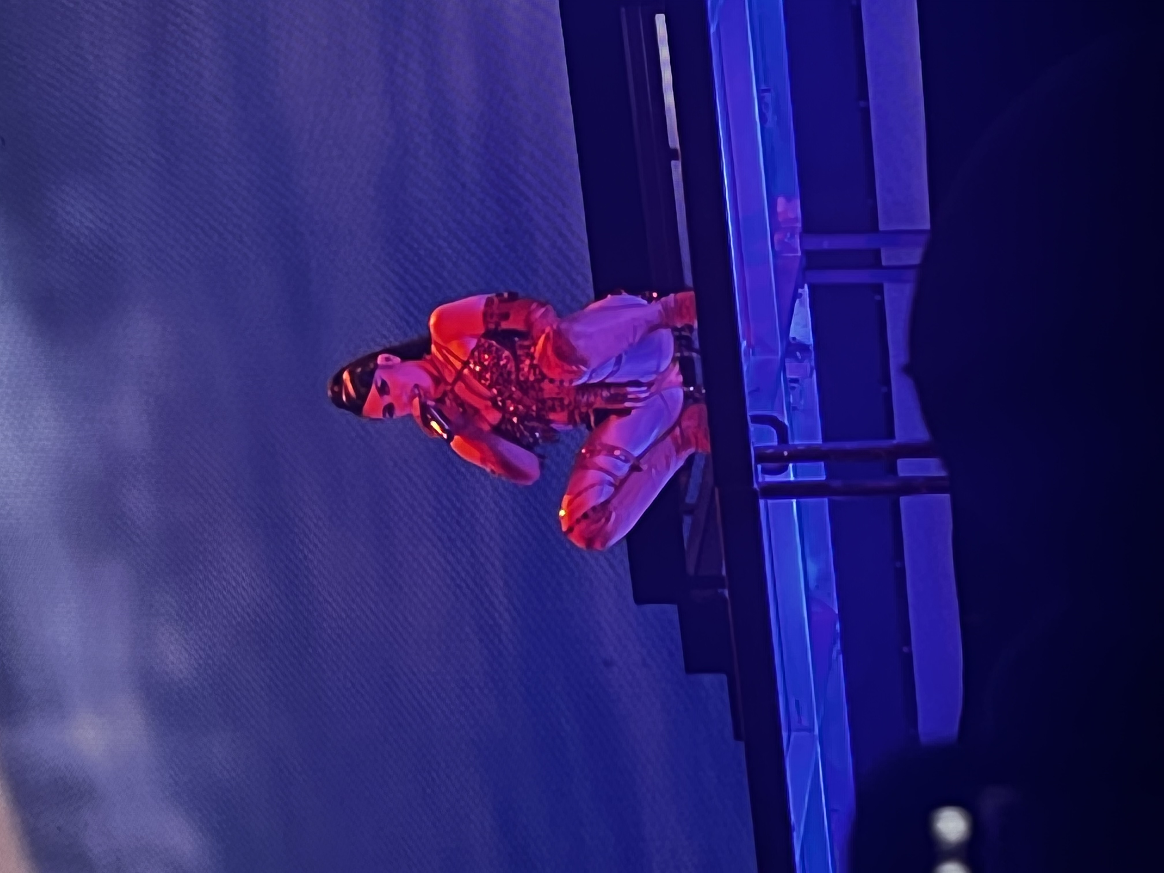 2022년 매디슨 스퀘어 가든에서 타일러 더 크리에이터의 Call Me If You Get Lost Tour 공연 중인 칼리 우치스