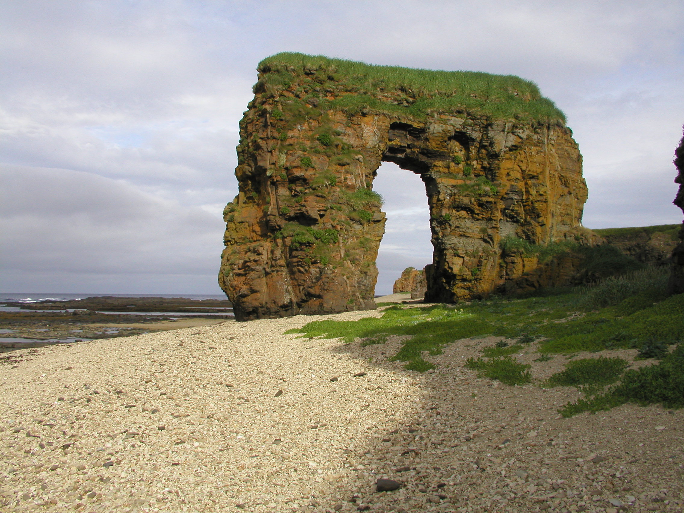 Gerbang Steller di Pulau Bering