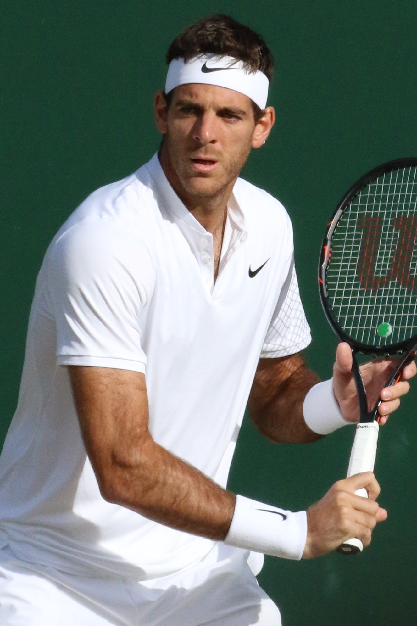 Del Potro at the 2016 Wimbledon Championships
