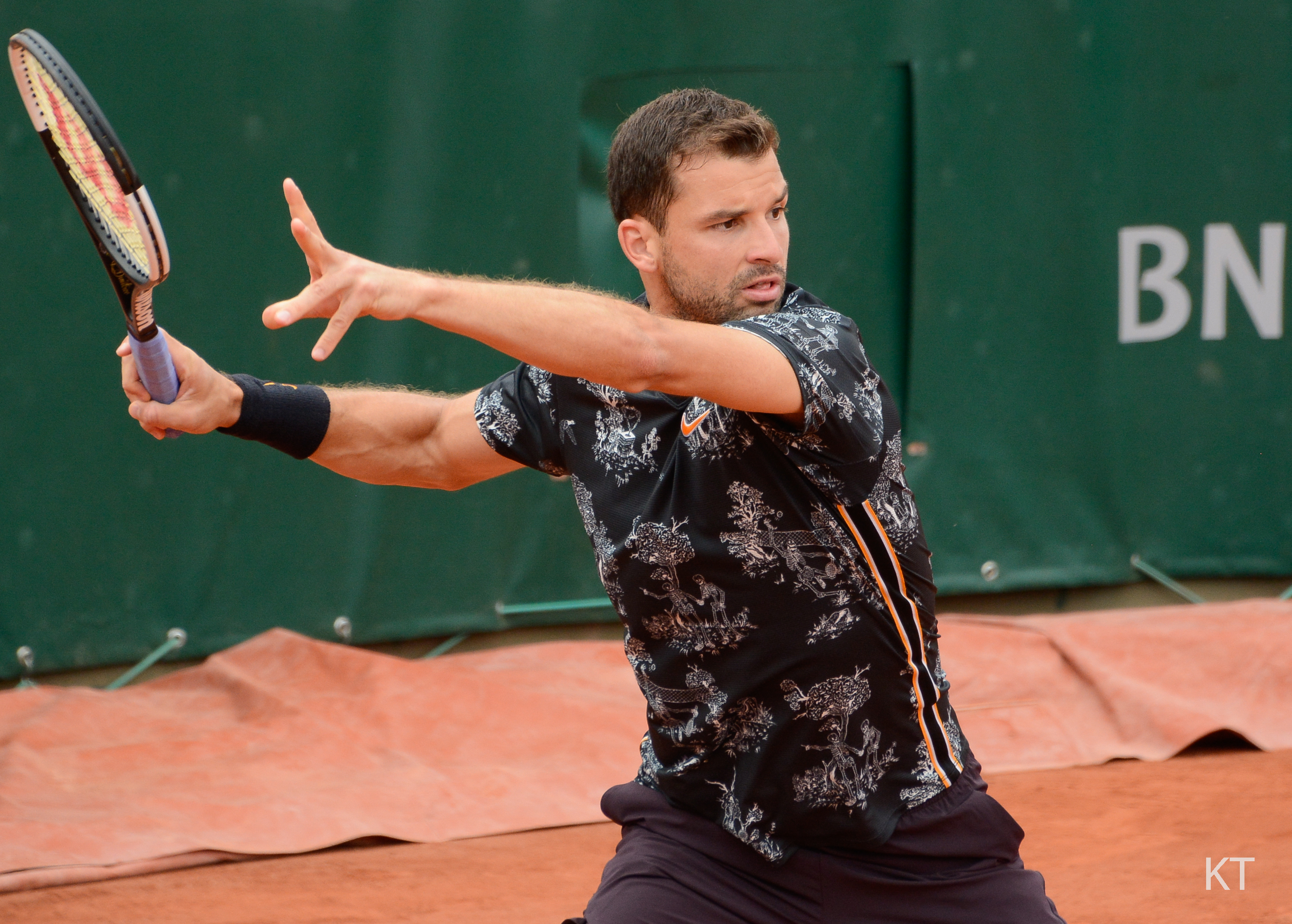 Dimitrov di Terbuka Perancis 2019