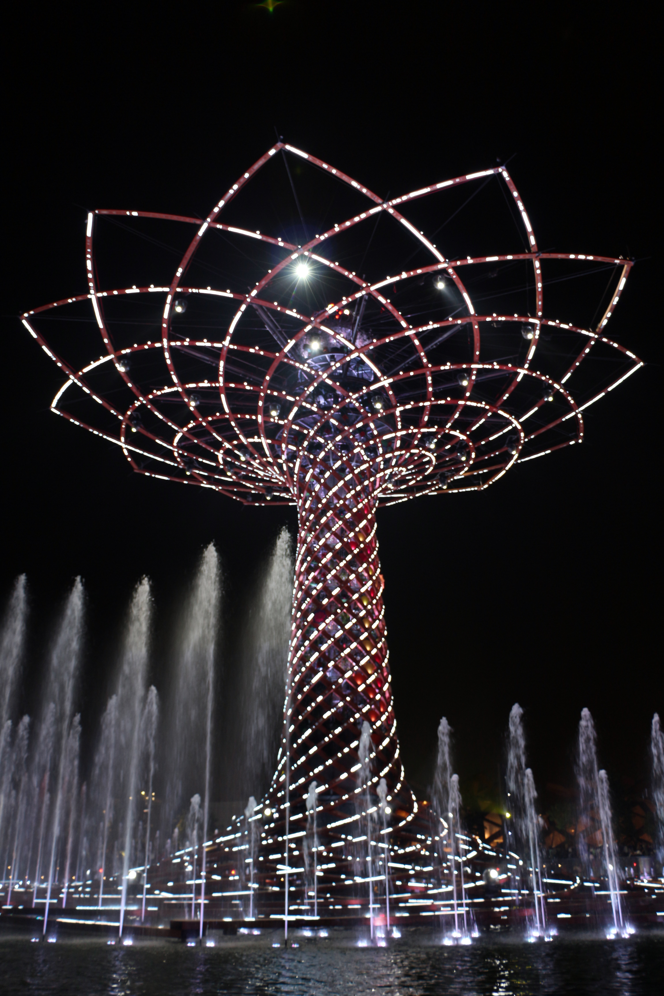 밤에 조명으로 만들어진 큰 나무, 분수로 둘러싸임