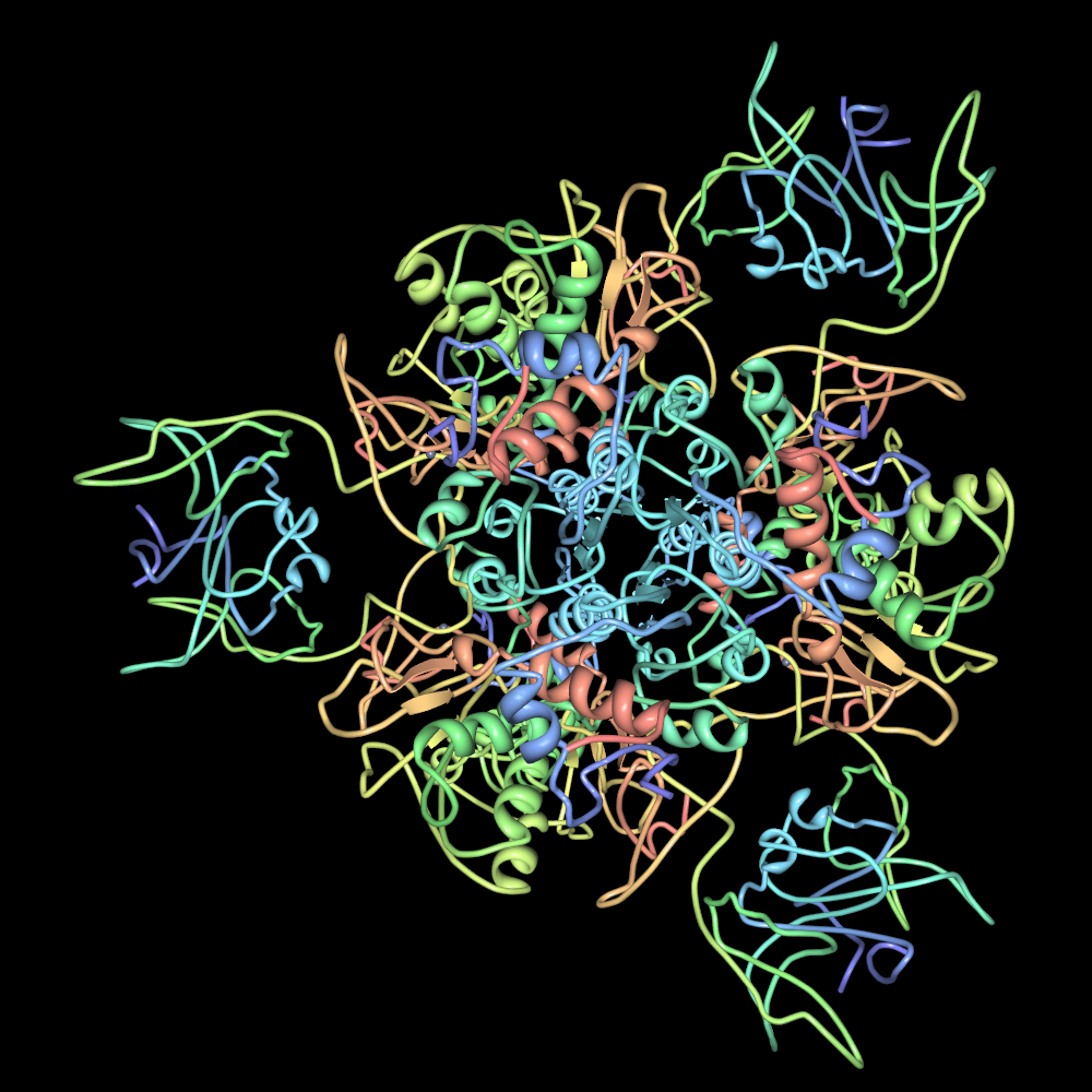 apartate carbamoyltransferase