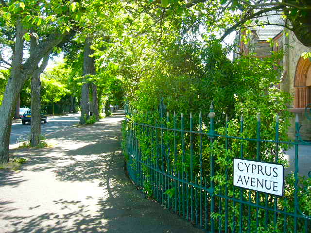 사이프러스 애비뉴 - 이 노래의 영감을 준 <a href=