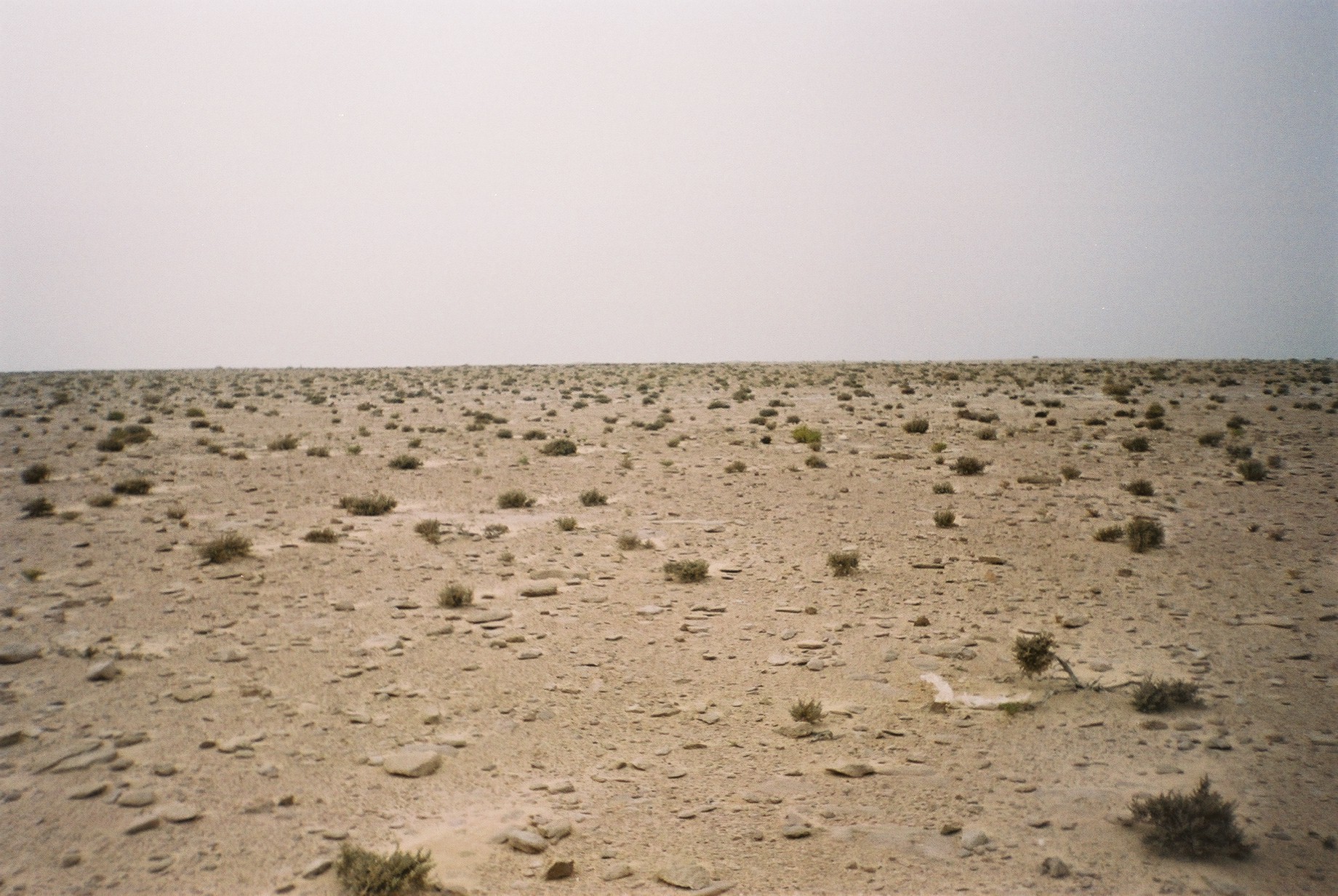 Padang pasir di Sahara Barat.