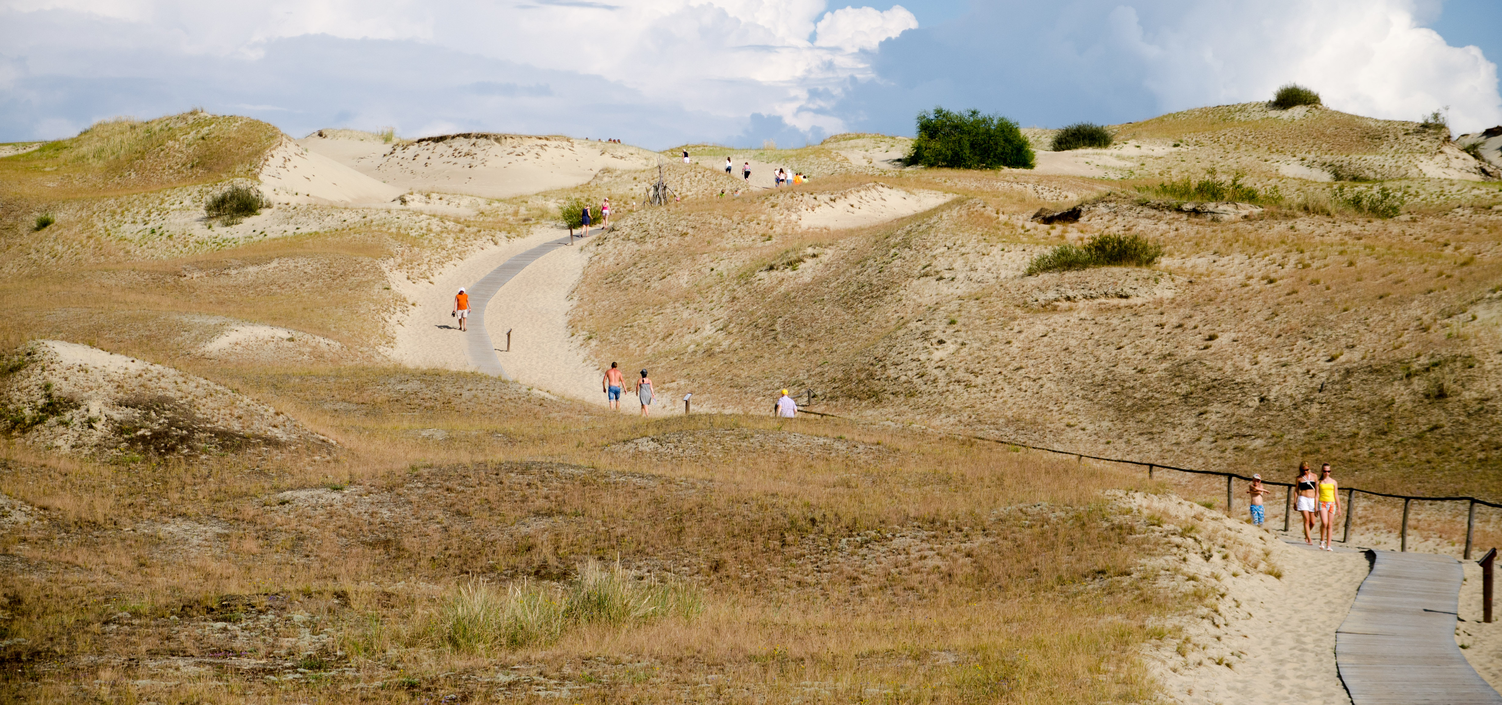 Sand dunes of the Curonian Spit near Nida, which are the highest drifting sand dunes in Europe and a UNESCO World Heritage Site.
