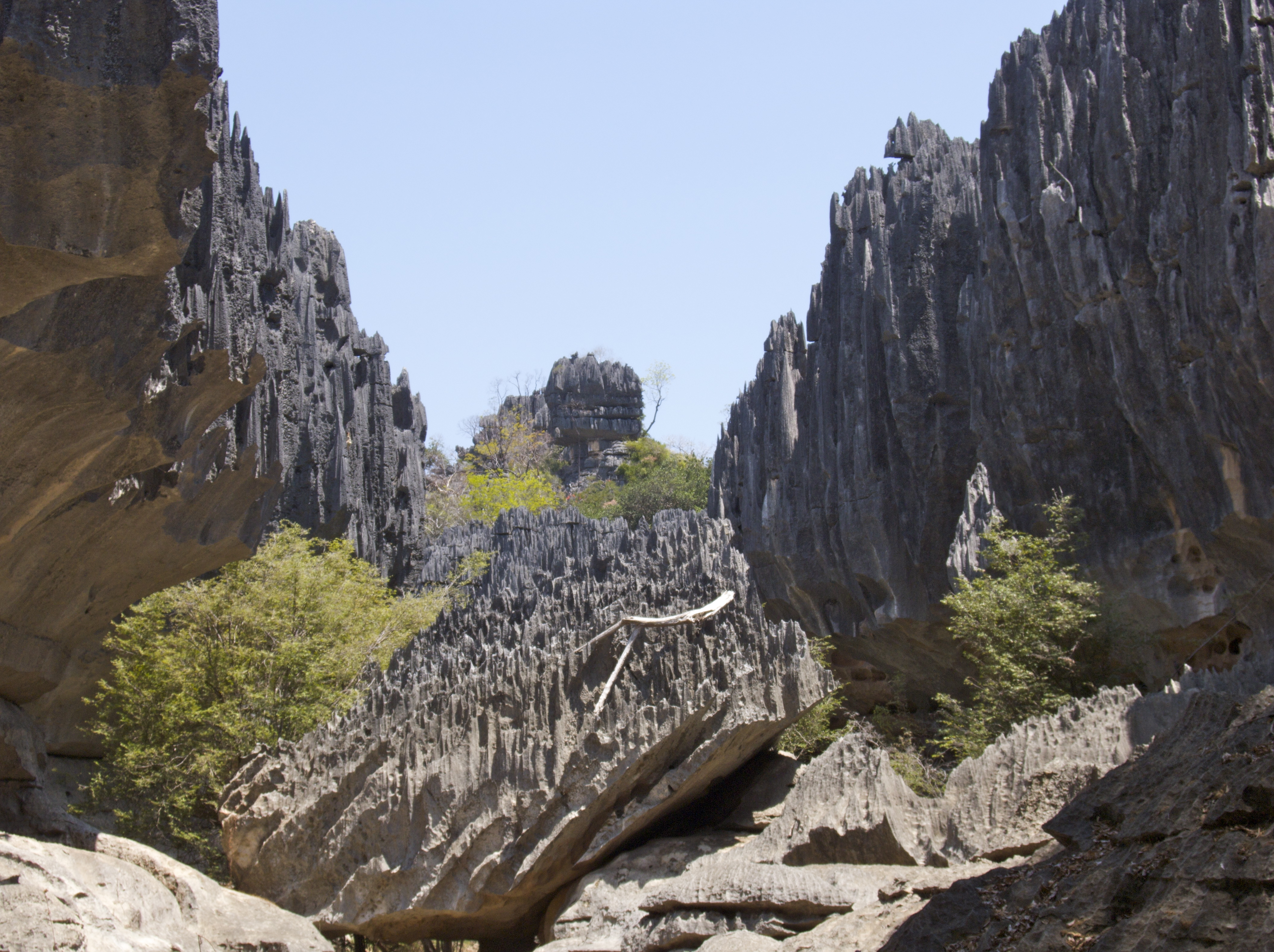 Karst topography at Tsingy de Namoroka National Park in northwestern Madagascar