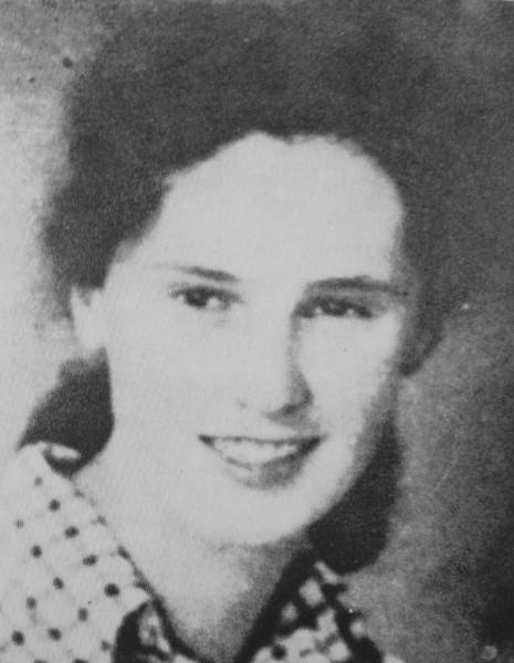 마이다 브르호브니크