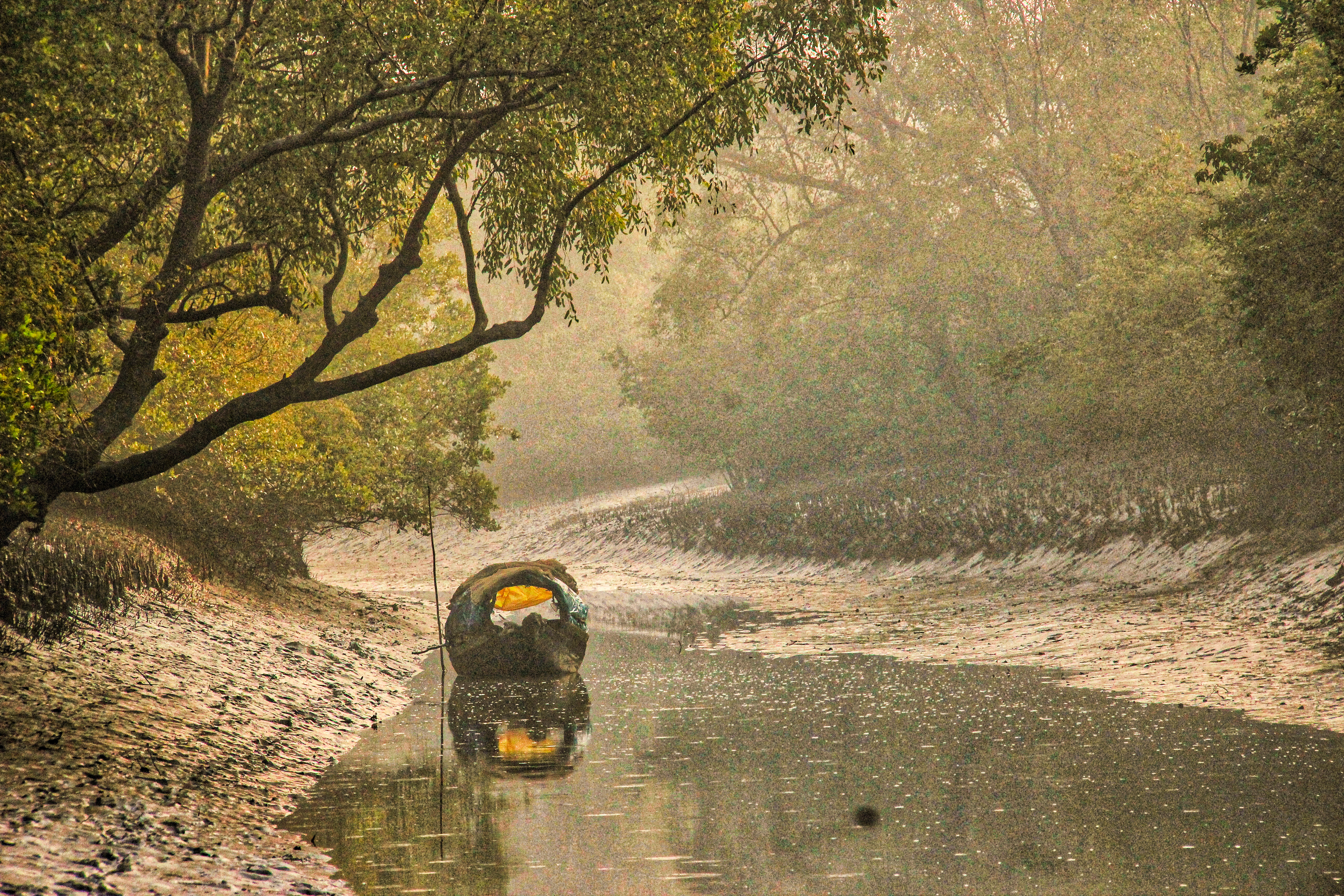 The Sundarbans, the largest mangrove forest in the world, is a major tourist attraction.