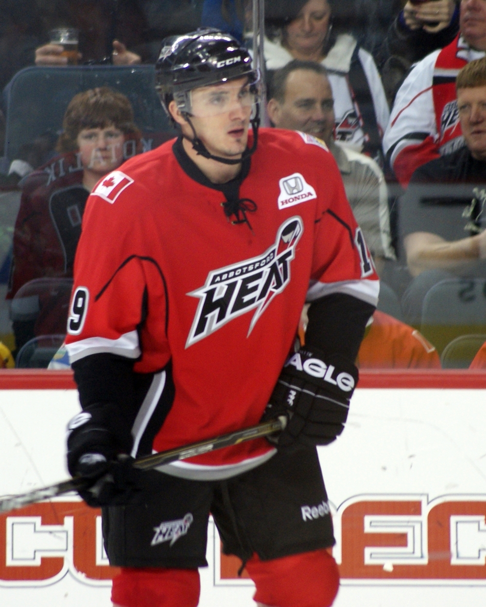 알레시 코탈리크