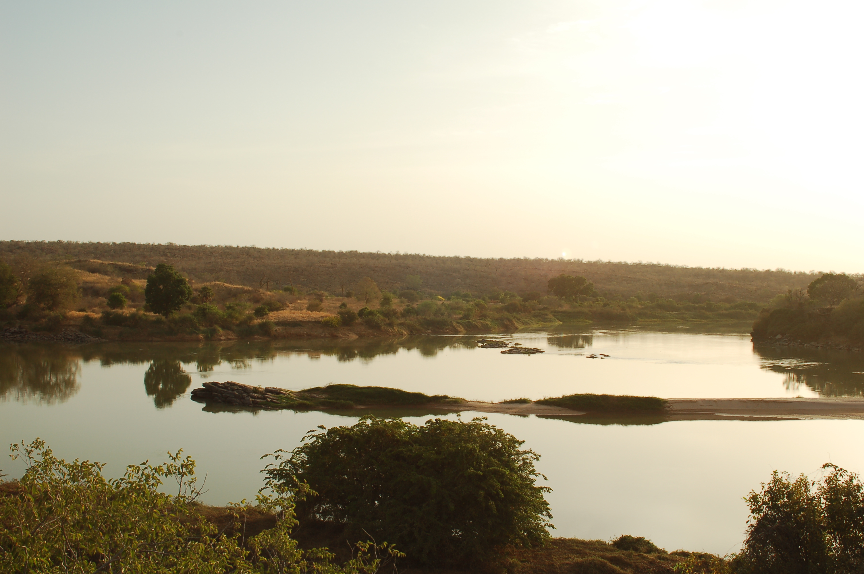 Fertile land in southern Niger near the Niger River.