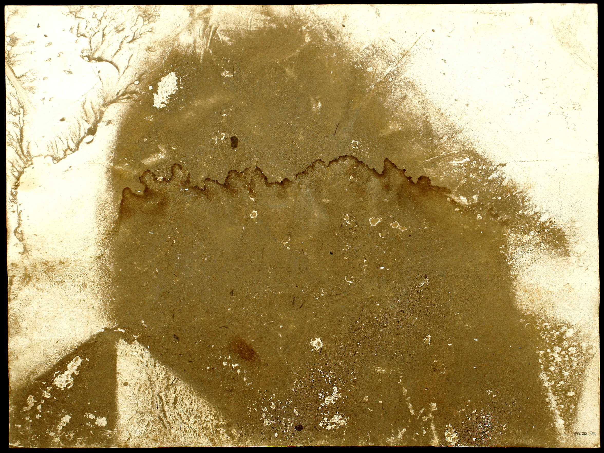 강가에 4일 동안 놓아둔 박물관 종이 보드. Jacek Tylicki의 작품, 스웨덴 <a href=