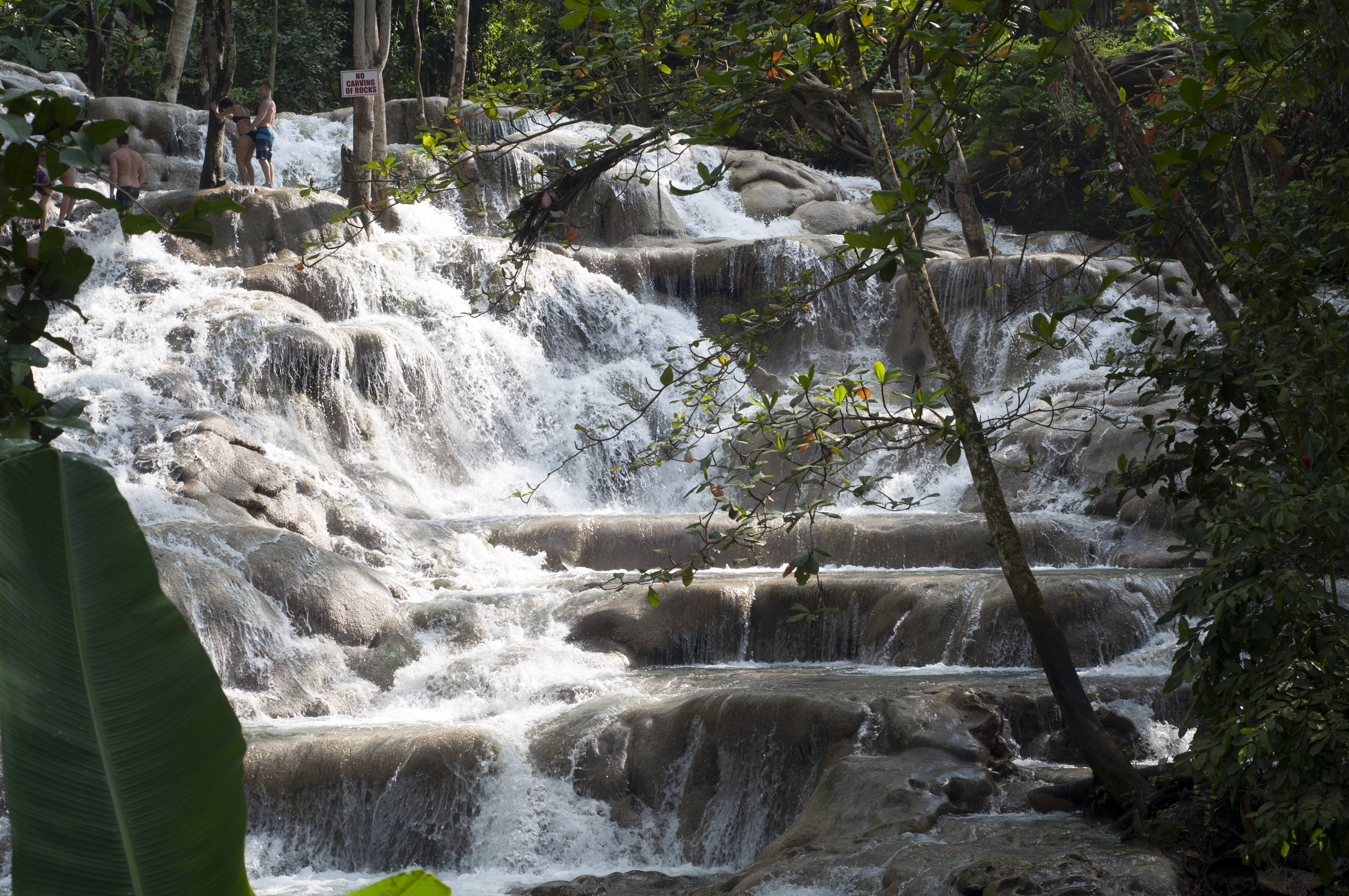 Air Terjun Sungai Dunn yang indah di Ocho Ríos