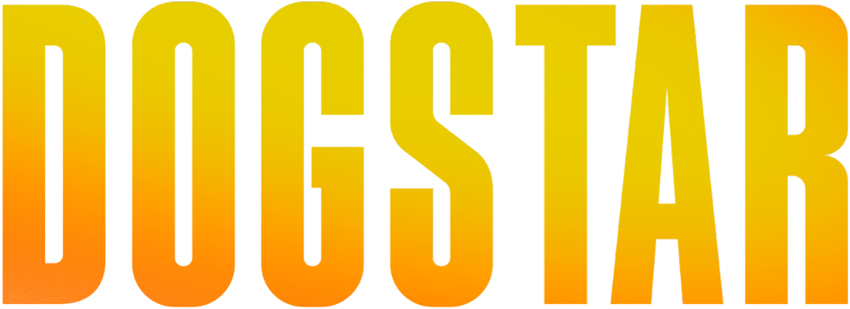 주황색과 노란색 그라데이션으로 채색된 대문자 DOGSTAR