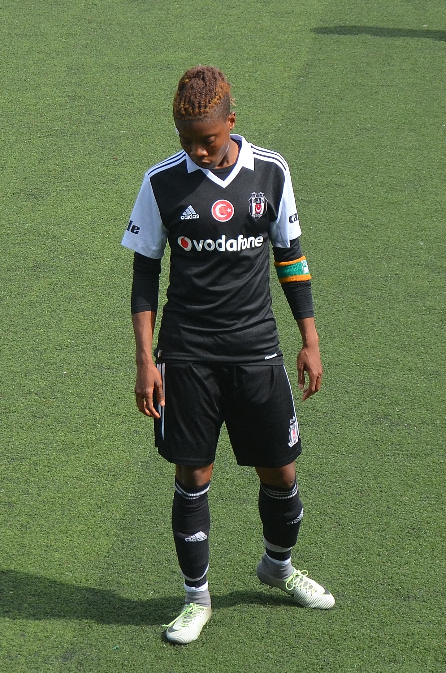 티 비오 이네 니레이