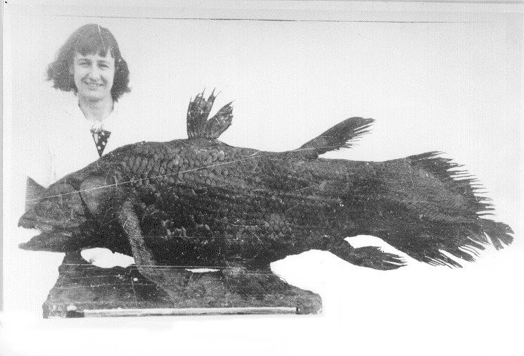 Marjorie Courtenay-Latimer bersama coelacanth yang ditemukannya. Ikan ini, yang sebelumnya hanya dikenal dari fosil berusia jutaan tahun, ditemukan dalam tangkapan nelayan. Nama ilmiahnya, Latimeria chalumnae, diberikan untuk menghormatinya.