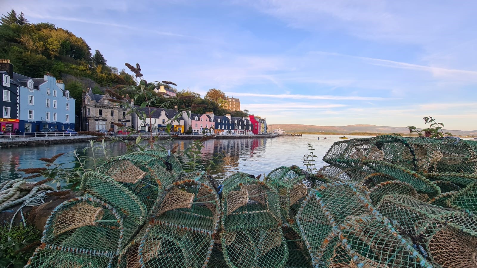 Tobermory harbour의 랍스터 통발
