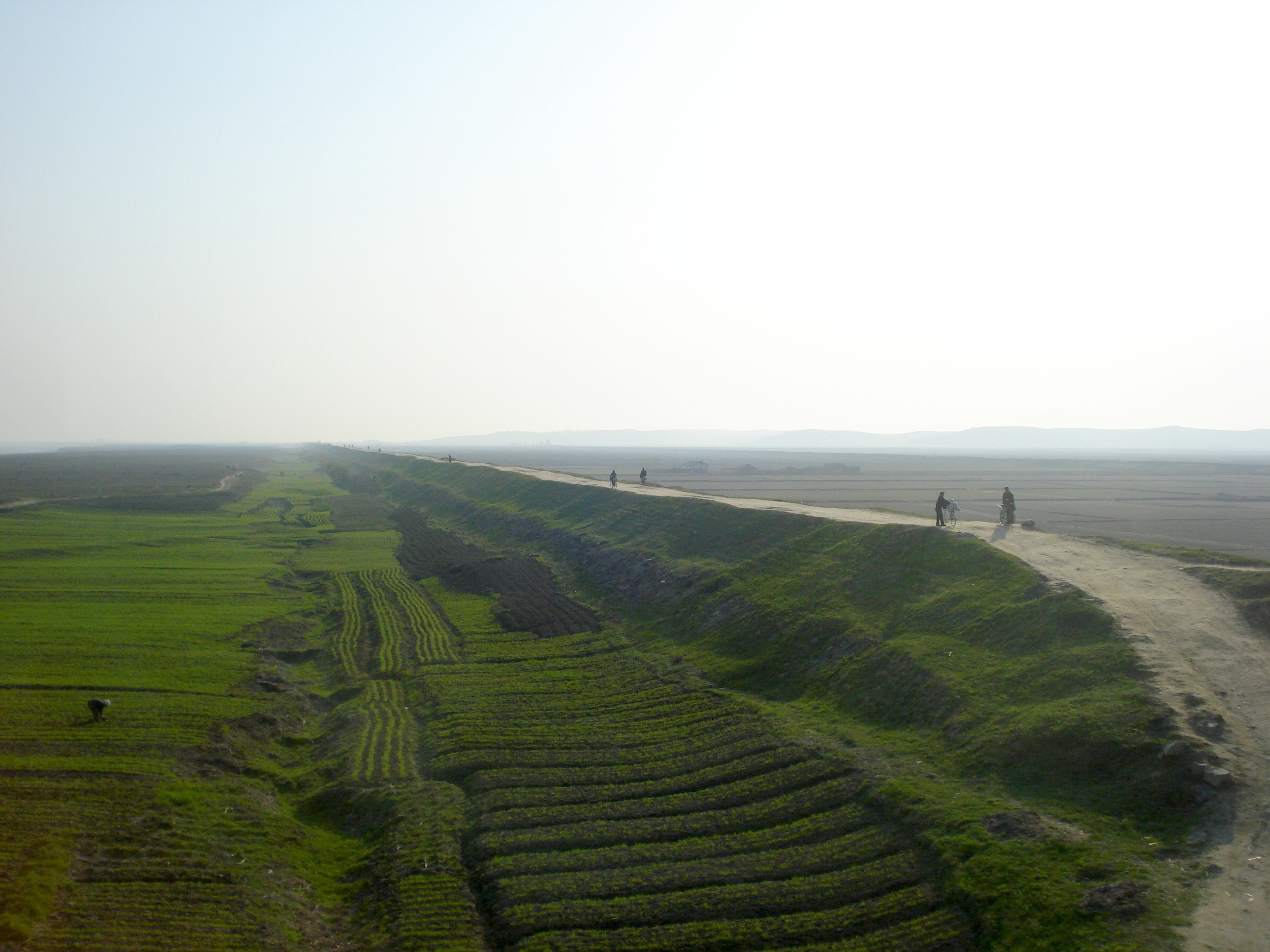 North Korean agriculture