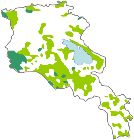 Peta taburan penganut Islam di wilayah Armenia moden, 1886-1890.Hijau muda (#99CC00) menandakan Syiah; Hijau tua (#339966) menandakan Sunni.