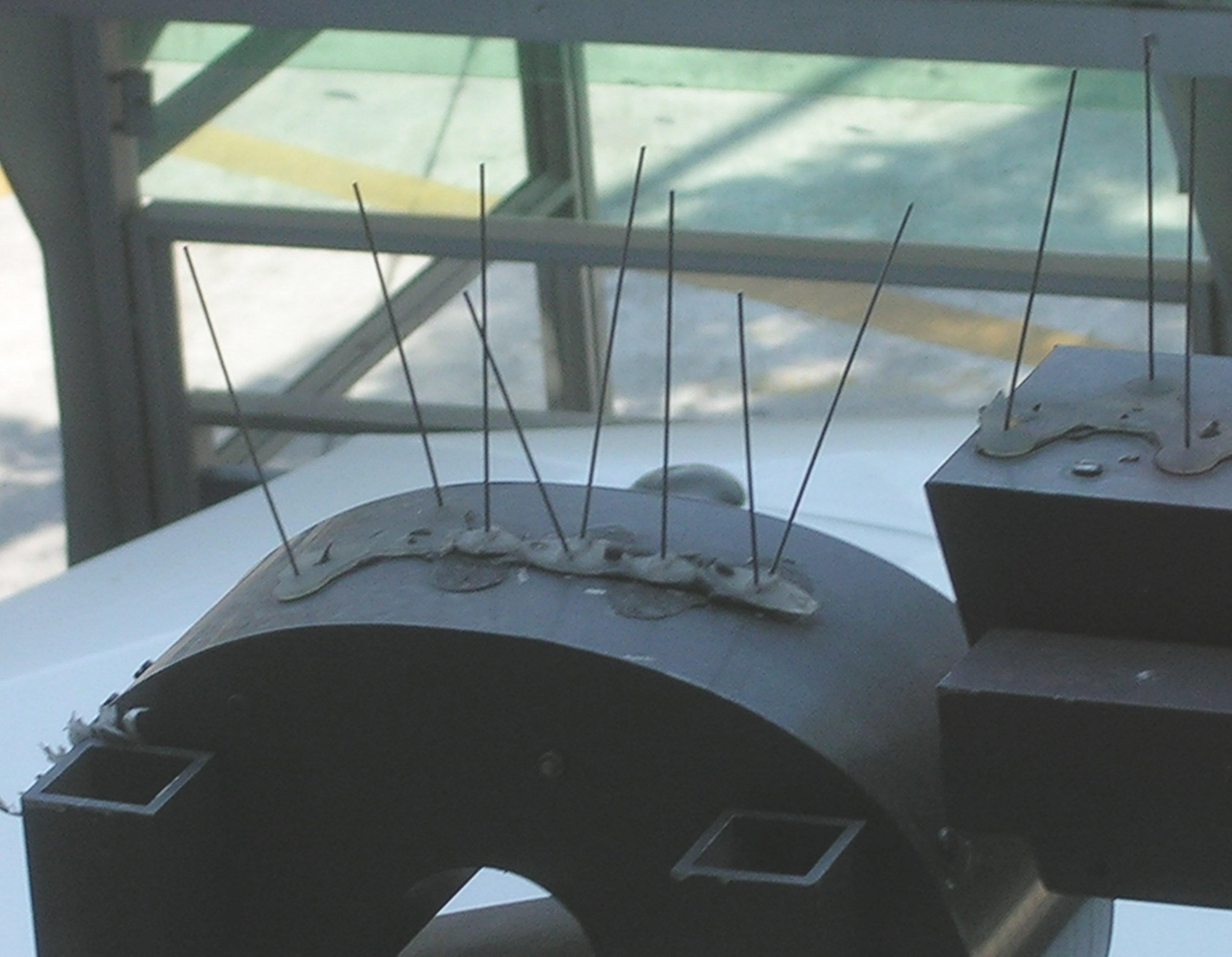 집비둘기가 착륙할 수 있는 많은 장소는 스파이크로 덮여 있다.