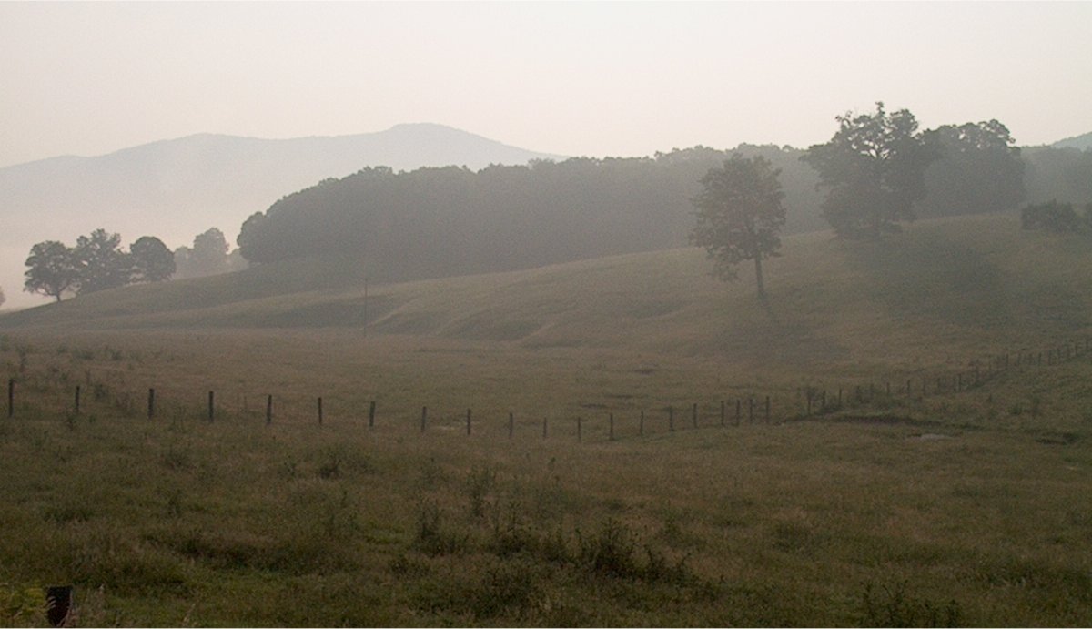 84번 주도에서 바라본 안개 낀 여름 아침