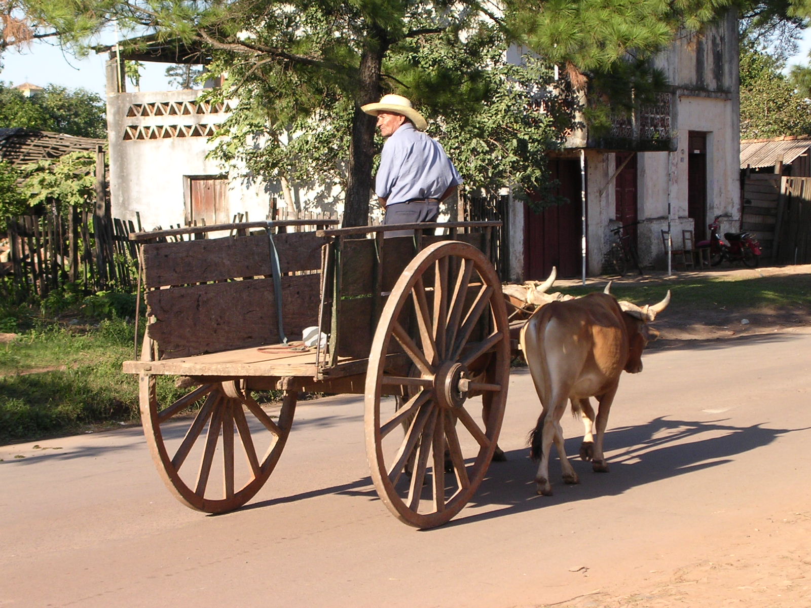 Traditional Paraguayan ox cart.