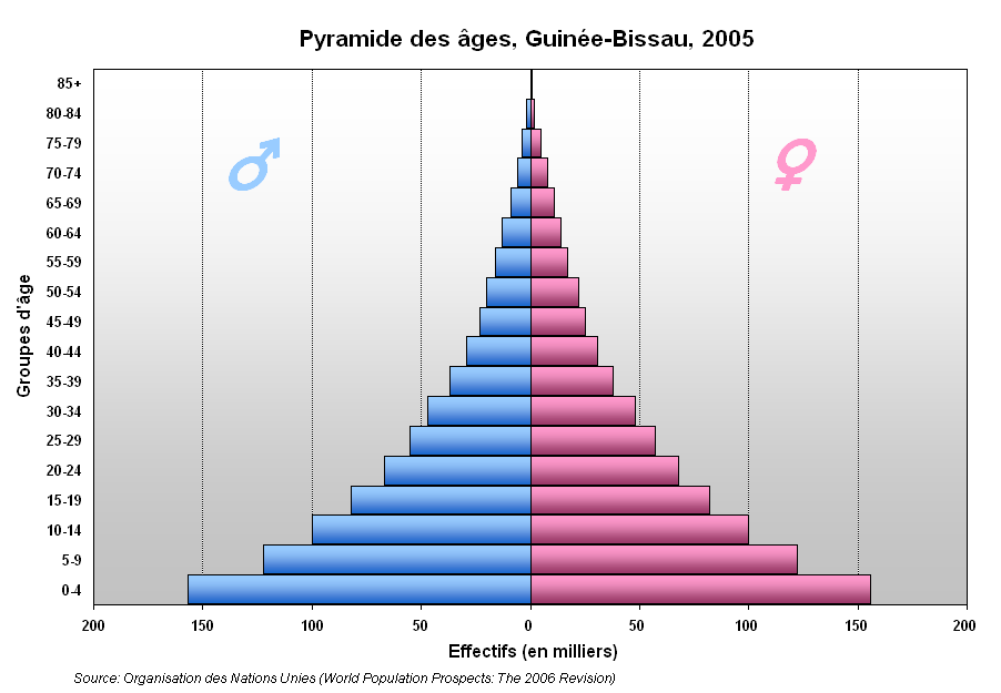 Guinea-Bissau's population pyramid, 2005.