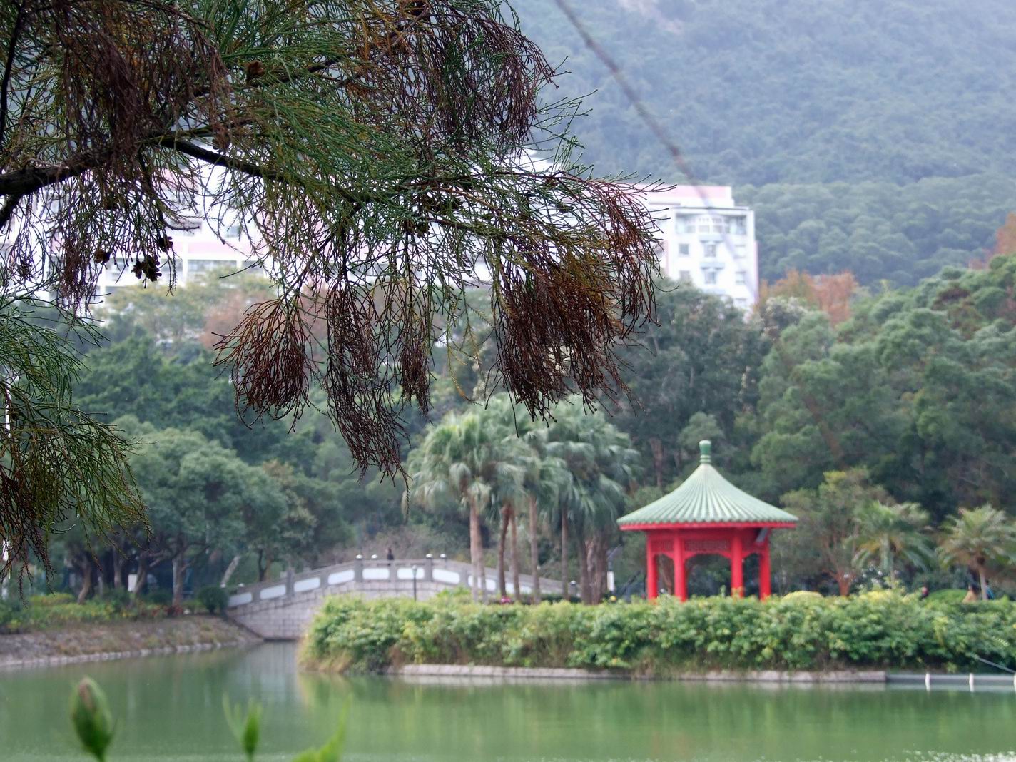 Universiti Cina Hong Kong di Wilayah Pentadbiran Khas Hong Kong.
