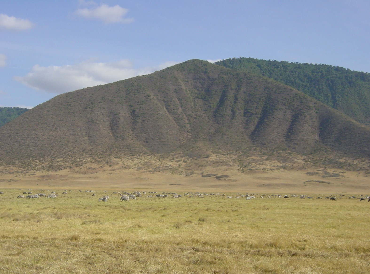 Khu bảo tồn Ngorongoro