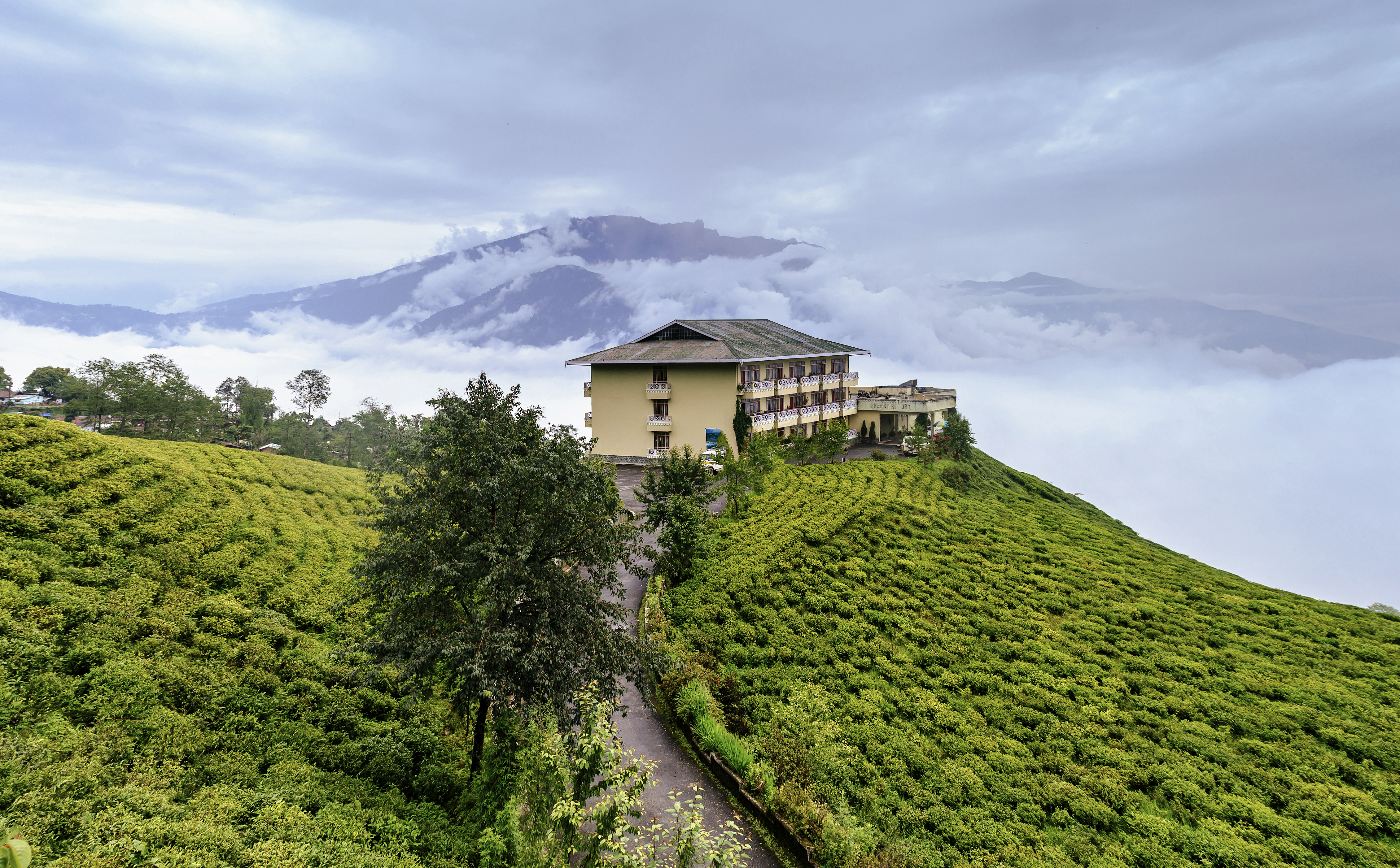 A tea garden in Sikkim. India, the world's second-largest producer of tea, is a nation of one billion tea drinkers, who consume 70% of India's tea output. Tea tourism is a niche segment that can support local livelihoods if developed sustainably.