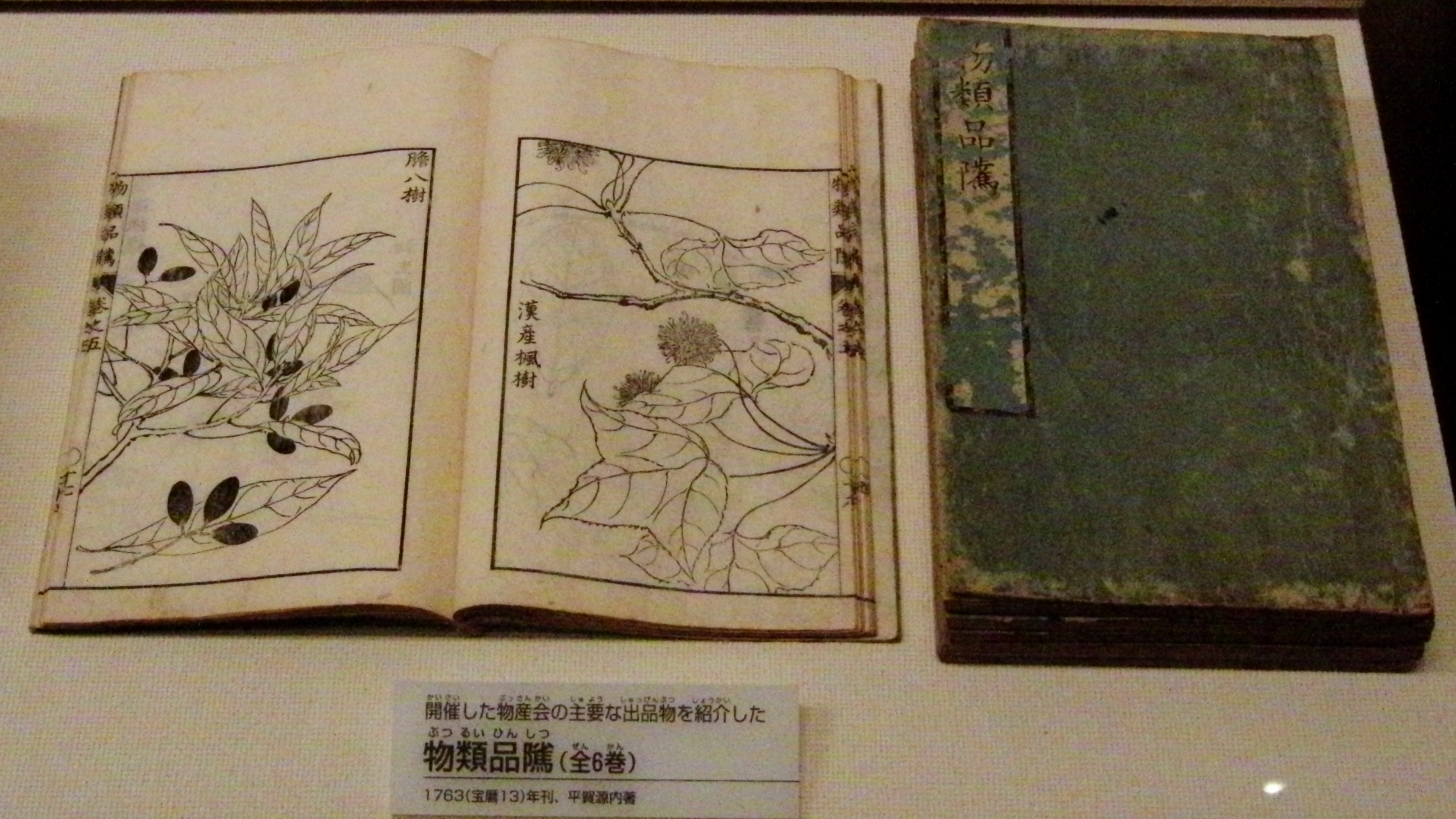 『物類品隲』 (พ.ศ. 2306) จัดแสดงที่พิพิธภัณฑ์วิทยาศาสตร์แห่งชาติ
