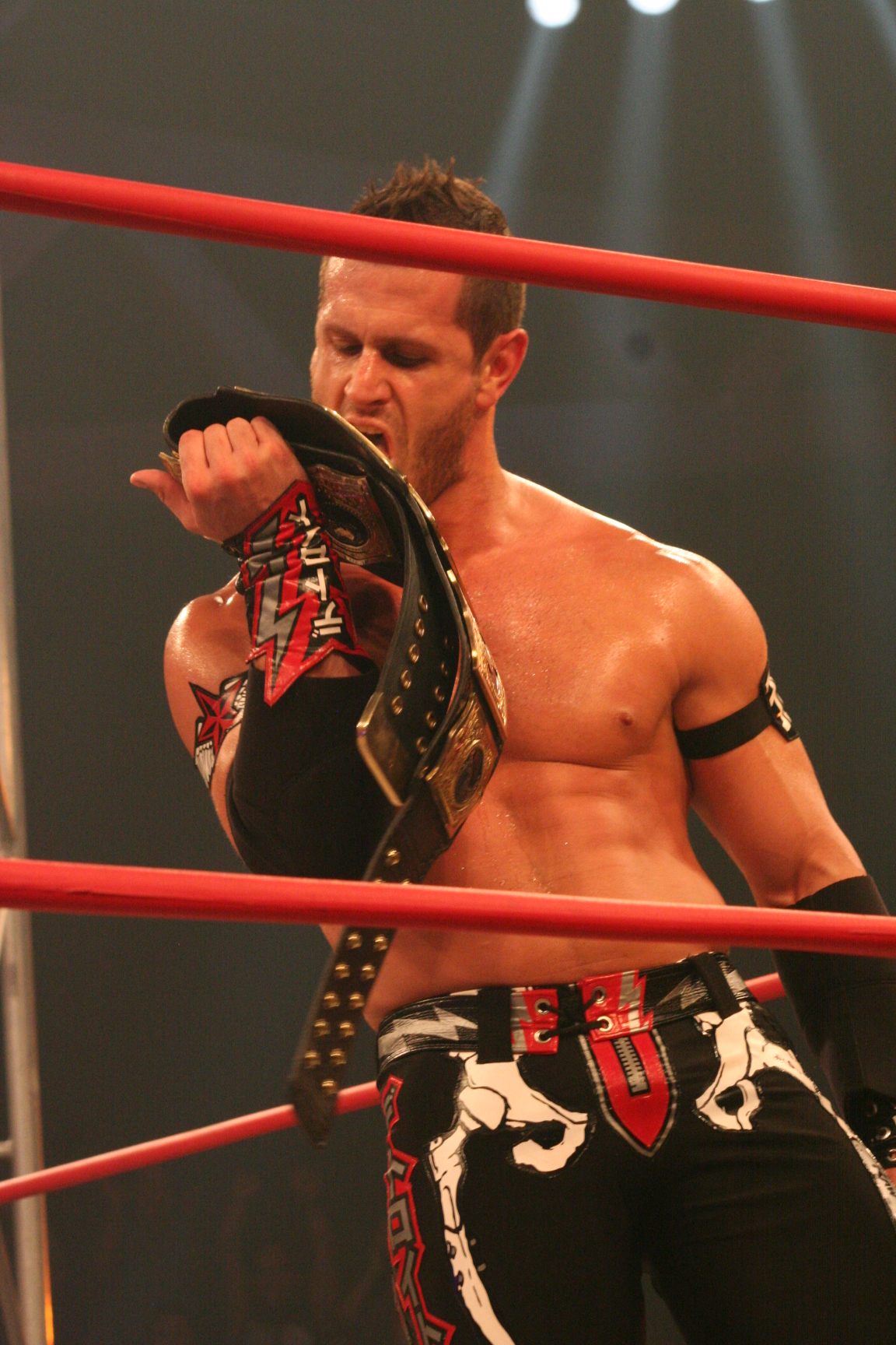 Shelley ialah Juara Tag Pasukan Dunia TNA/Impact tiga kali bersama Chris Sabin.