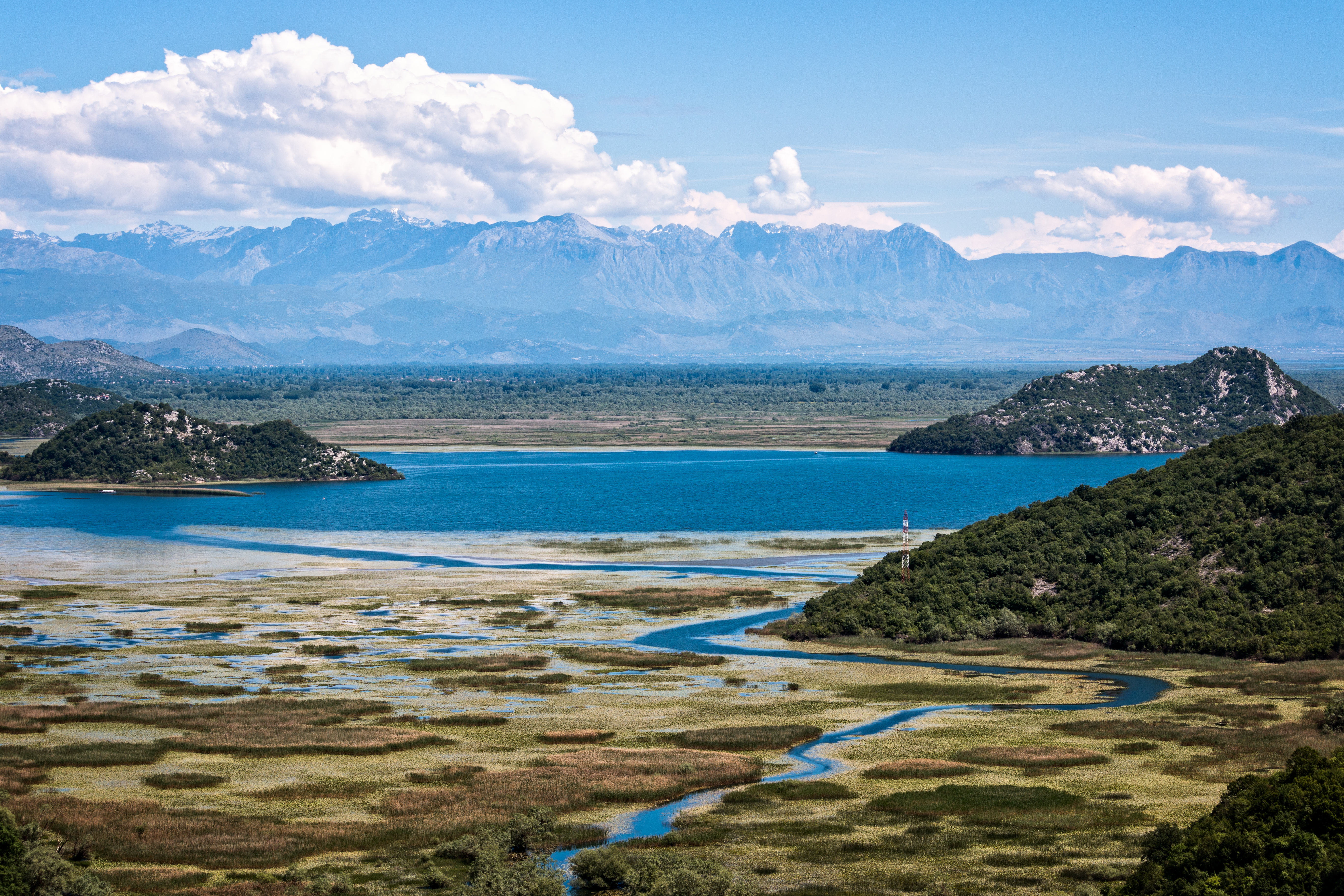 Taman Nasional Danau Skadar adalah titik panas keanekaragaman hayati air tawar