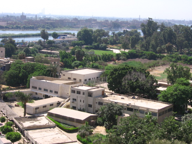 Shubra El Kheima building