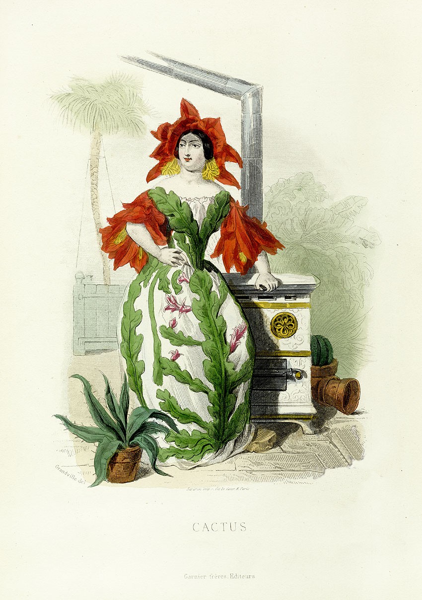 Kaktus, daripada Les fleurs animées (1846)