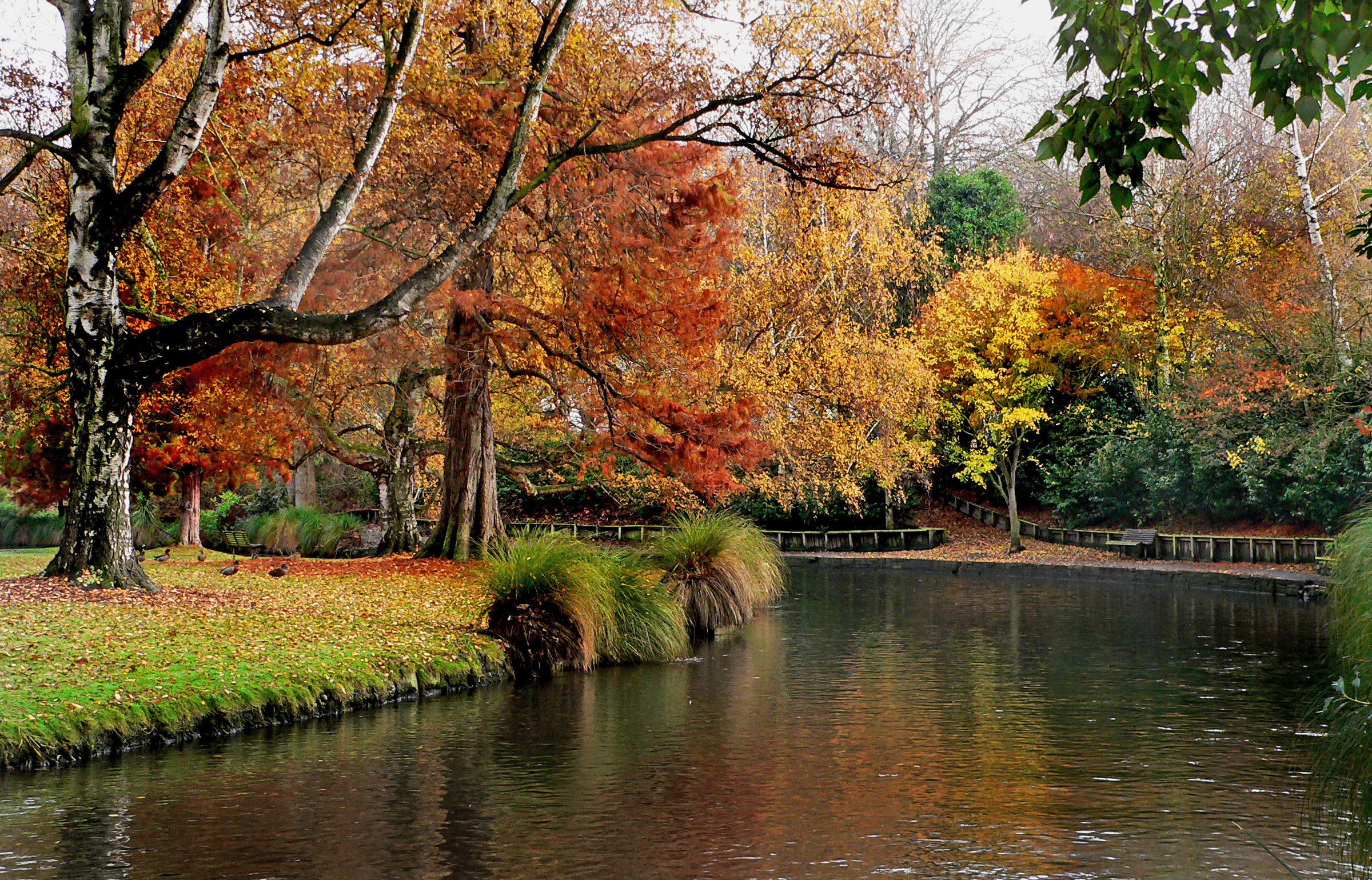 Musim gugur di Kebun Raya Christchurch