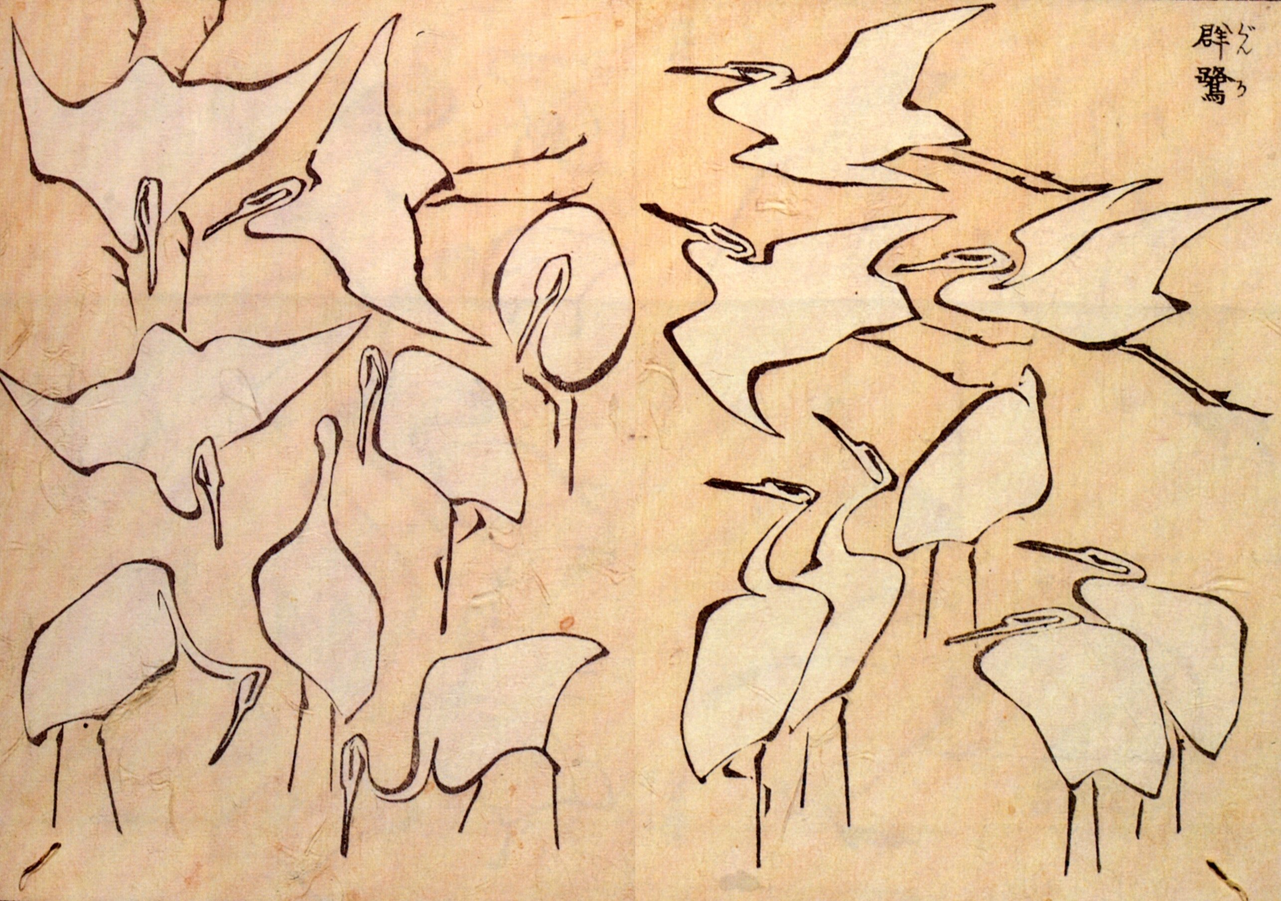 Egrets from Quick Lessons in Simplified Drawing