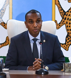 Hamza Abdi BarreThủ tướng từ 2022