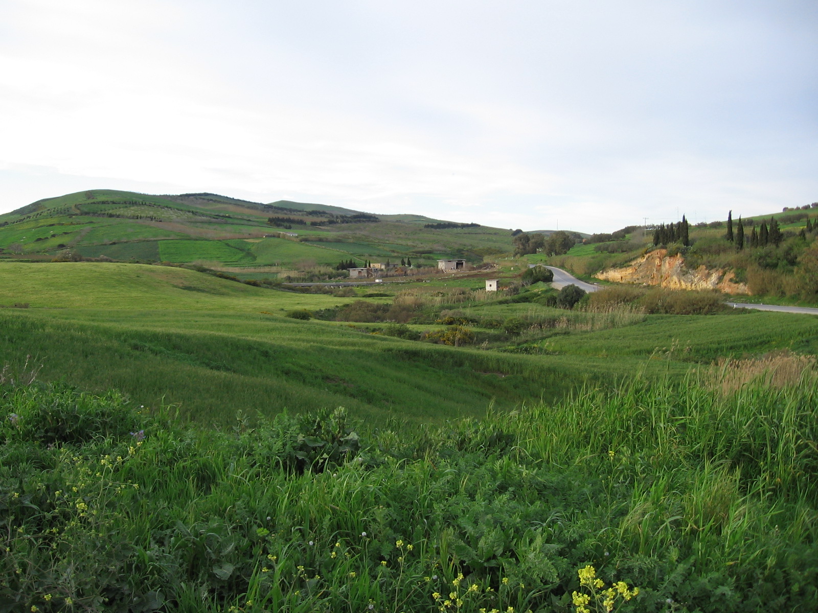 Plains in Northern Tunisia.