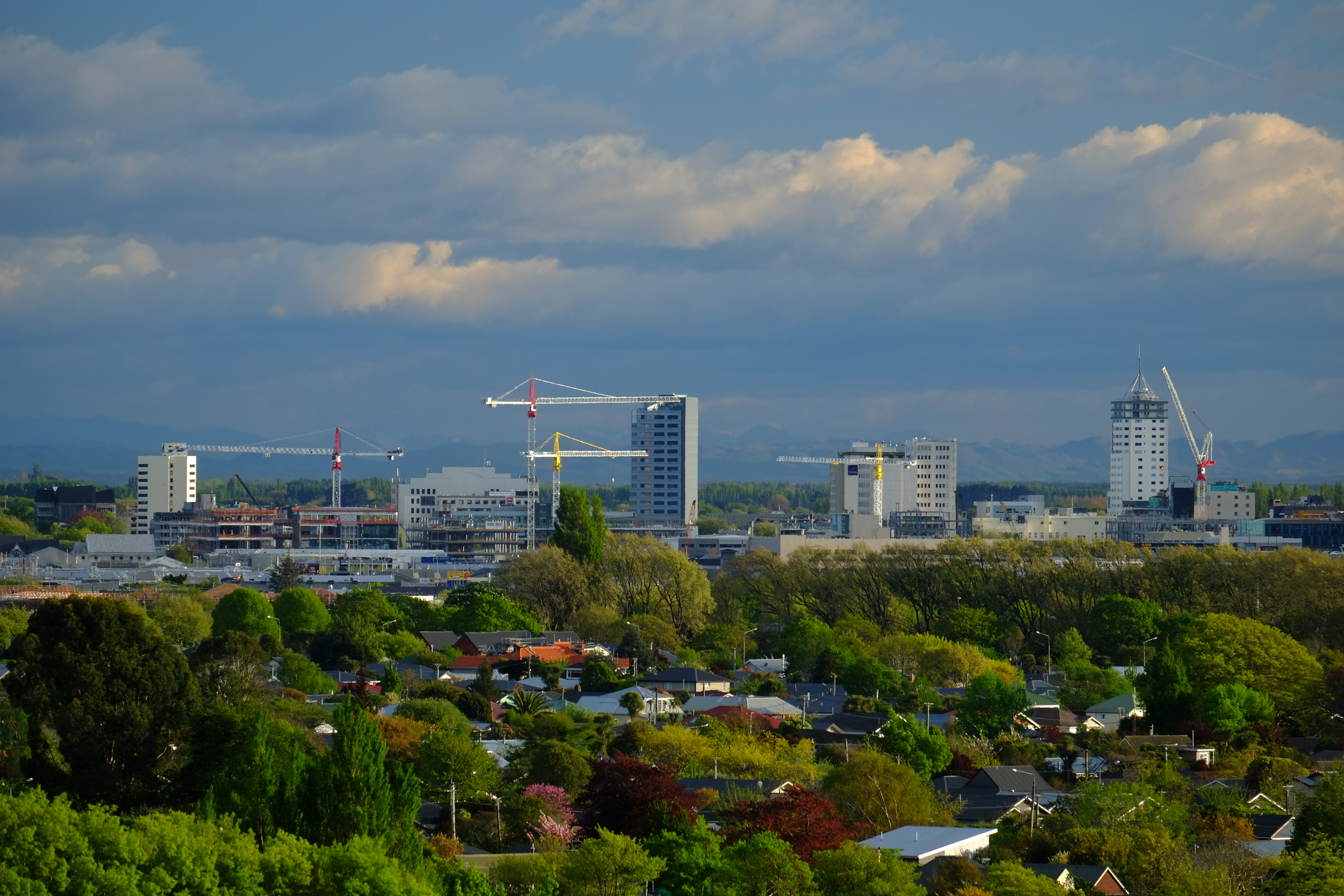 Kaki Langit Christchurch