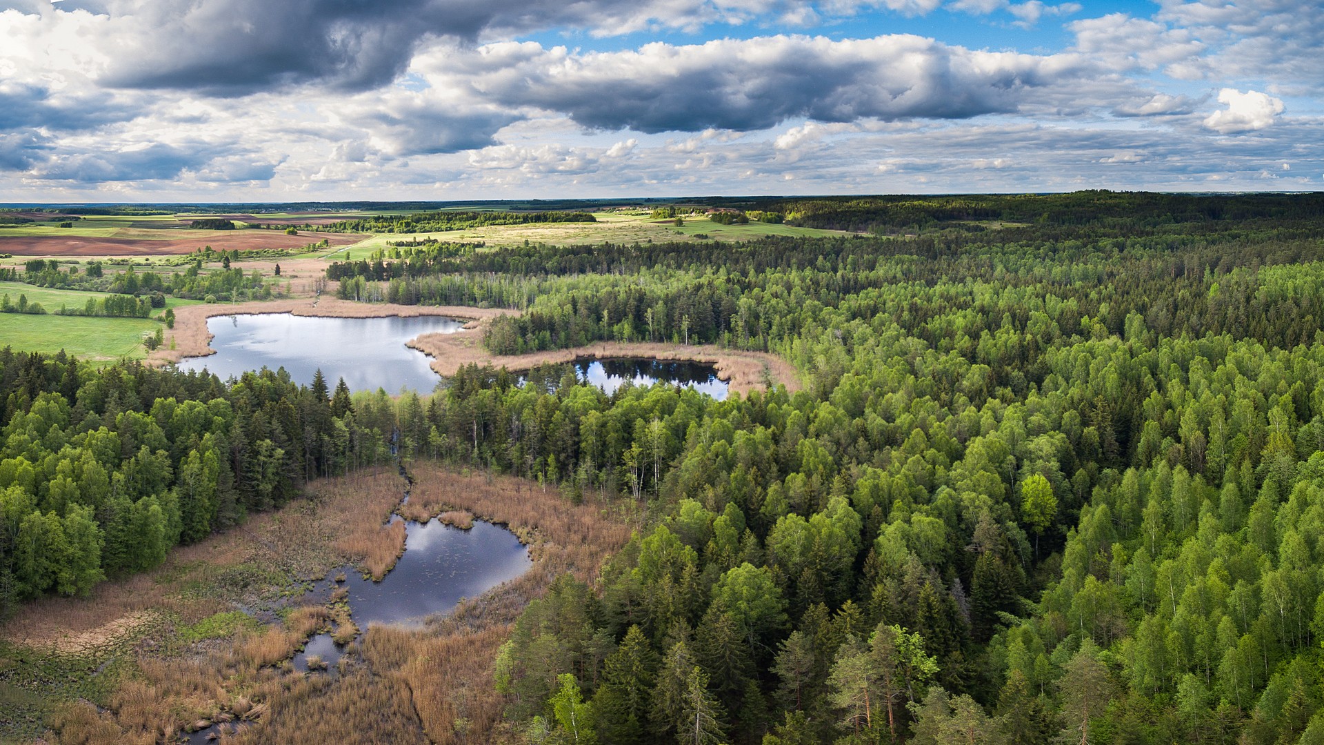 Lithuanian flatlands are characterized by lakes, swamps, and forests. The country has thousands of lakes.