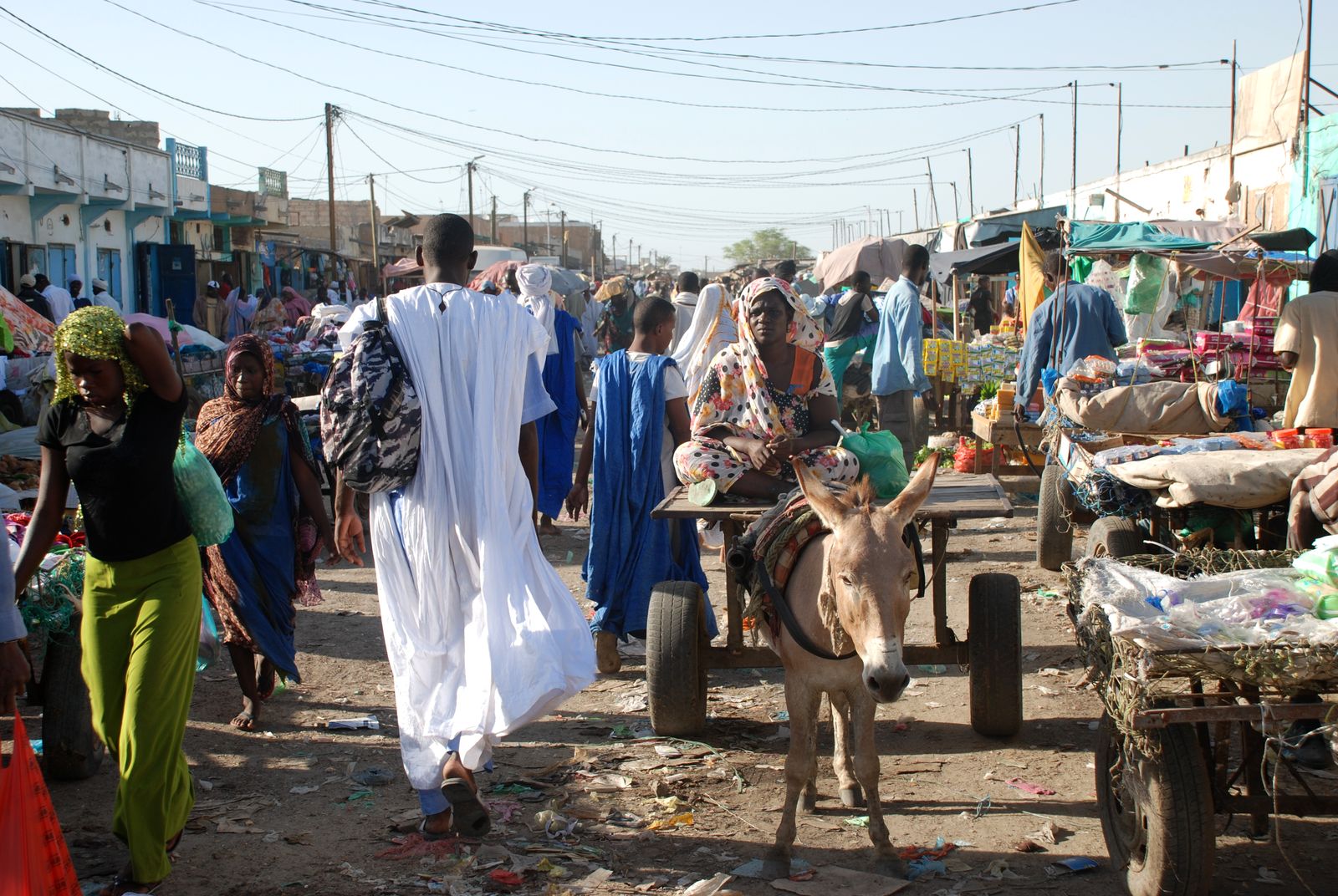 Gerobak keledai ('charrette') berlalu-lalang di jalanan Nouakchott.