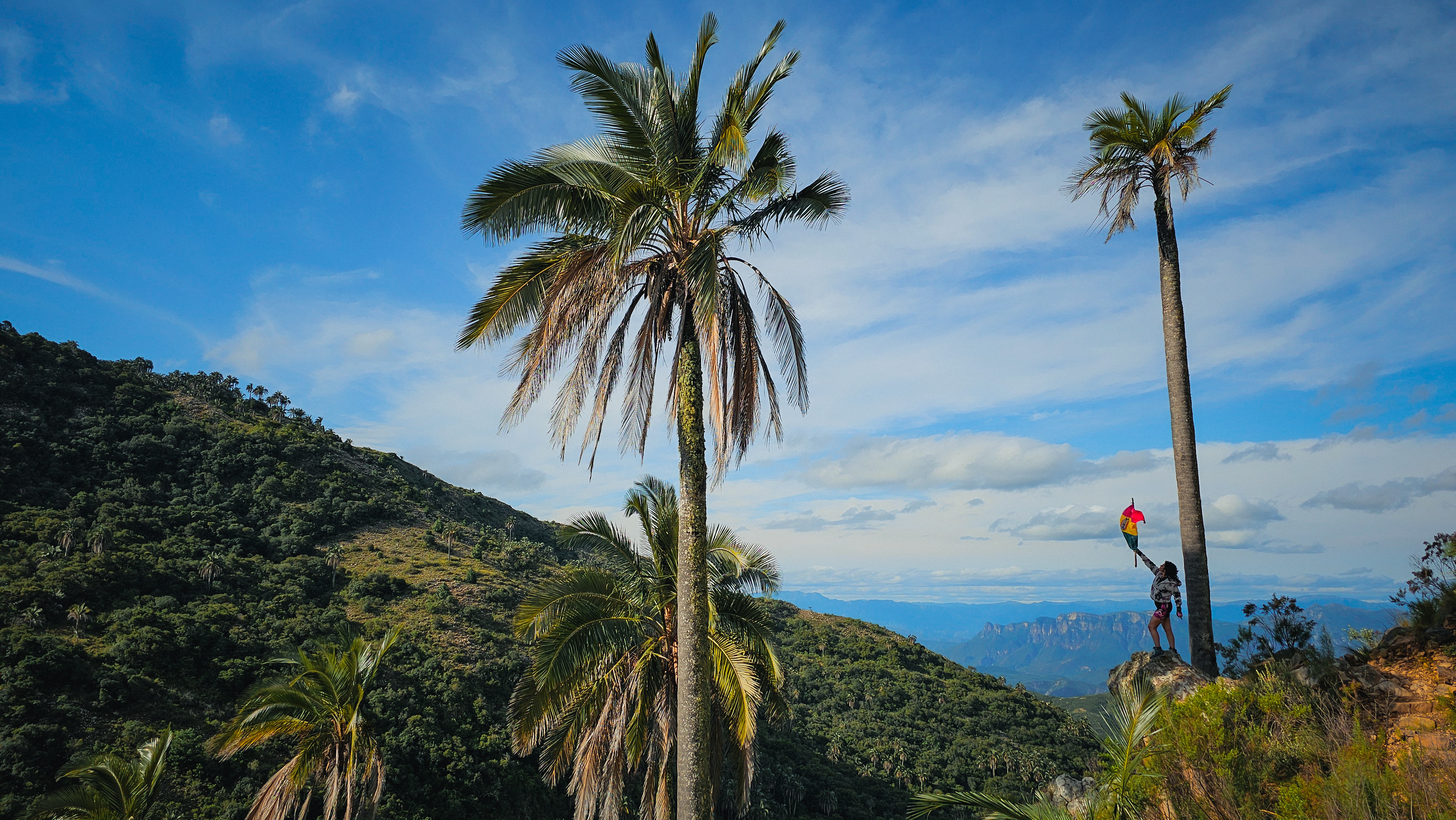 Kawasan Simpanan Alam El Palmar, di utara Chuquisaca