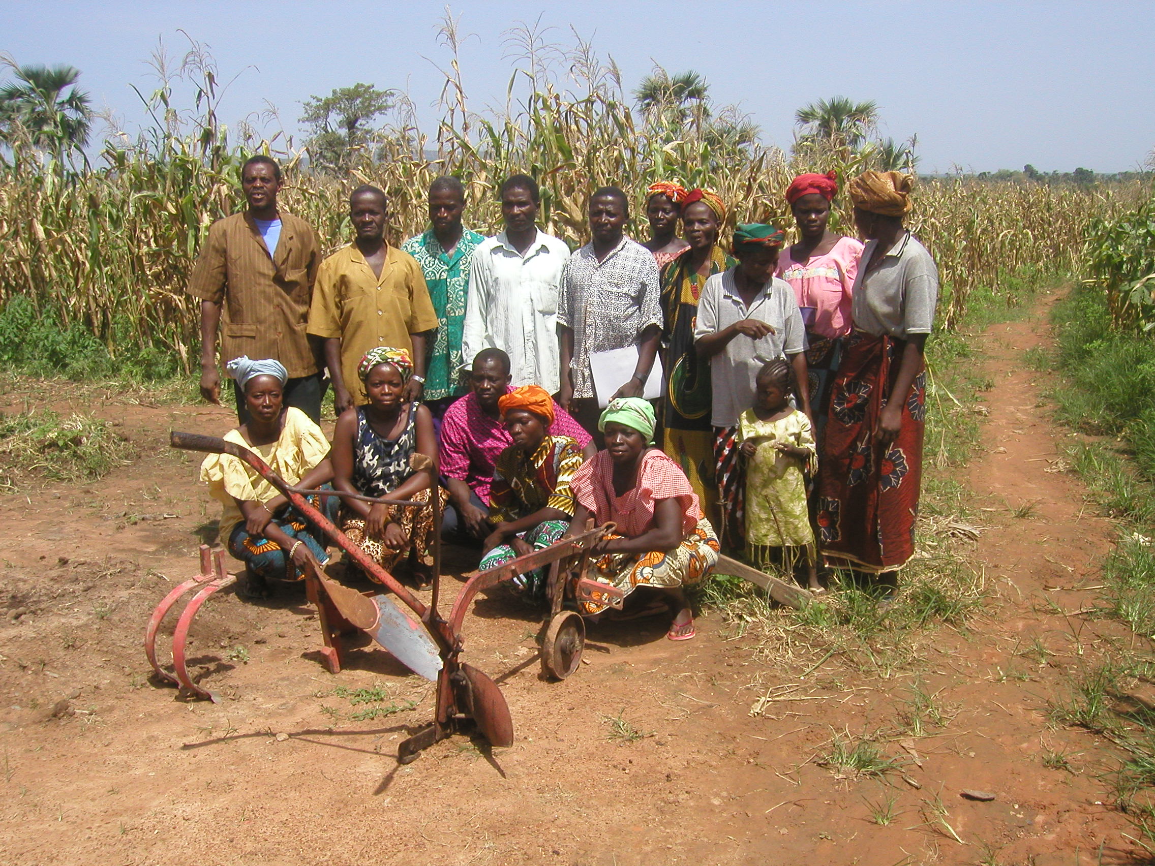 Para petani Tarfila di Burkina Faso.