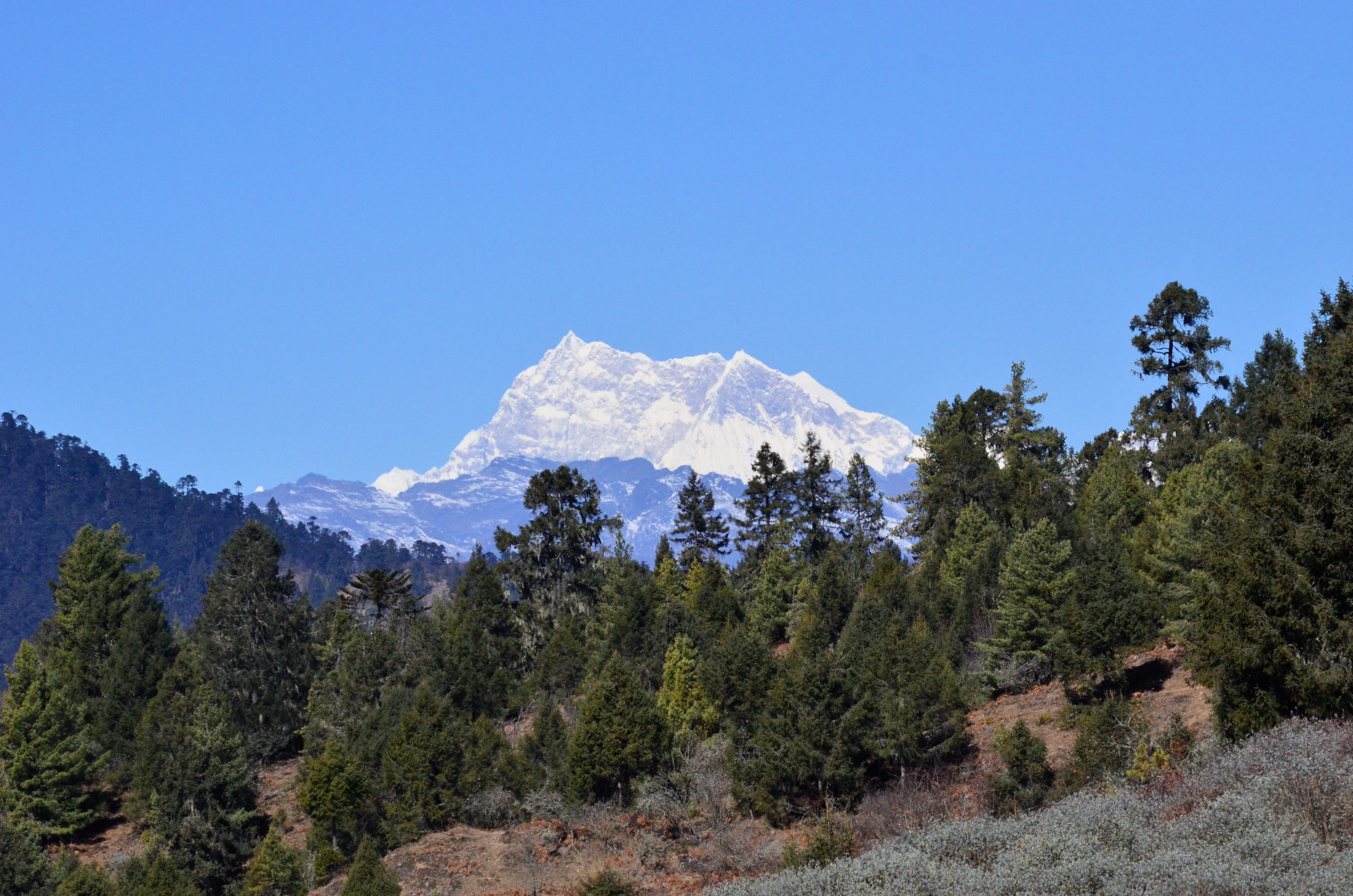 Puncak Himalaya dari Bumthang