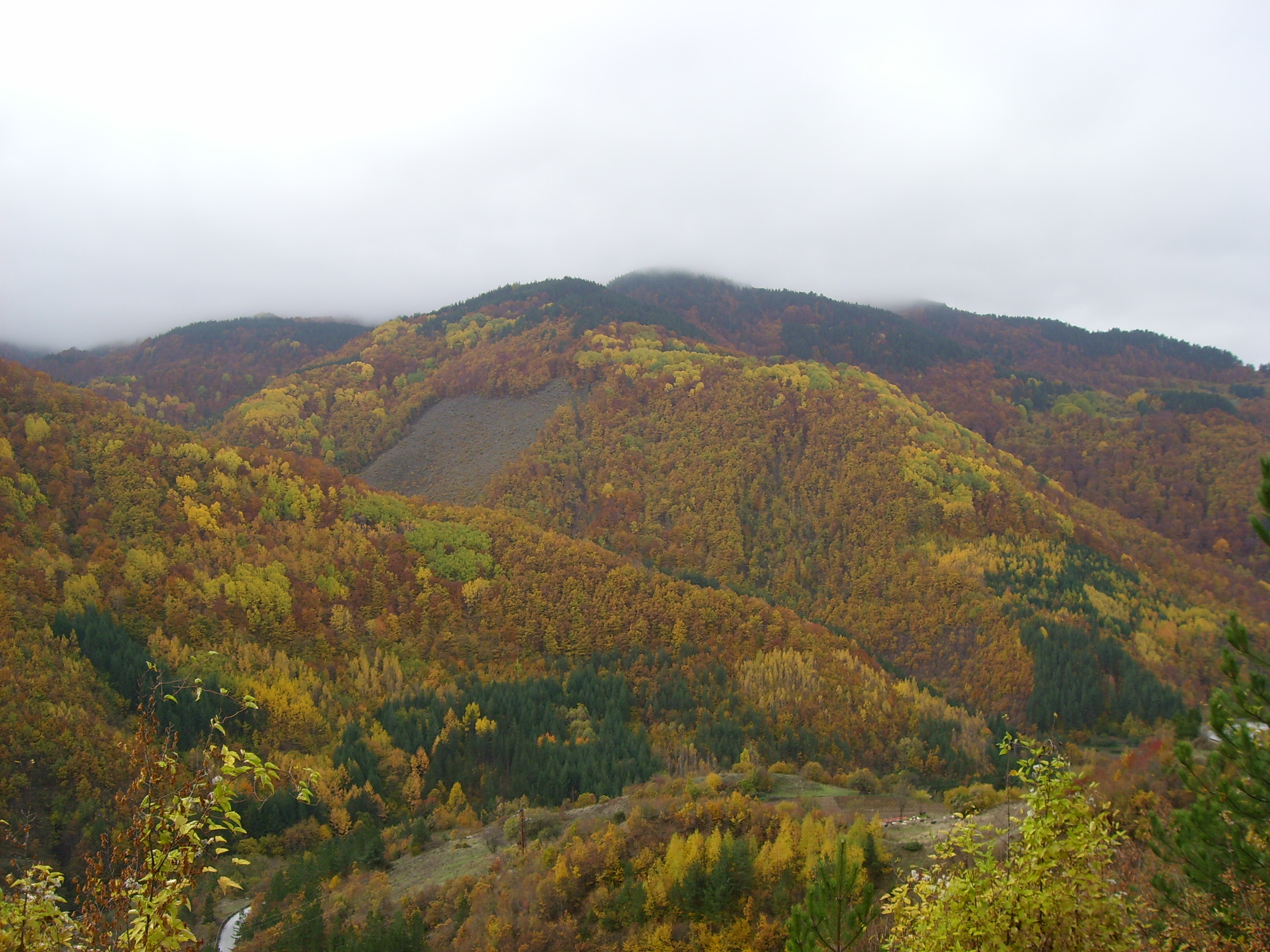 Musim gugur di Pegunungan Rodopi, Bulgaria.