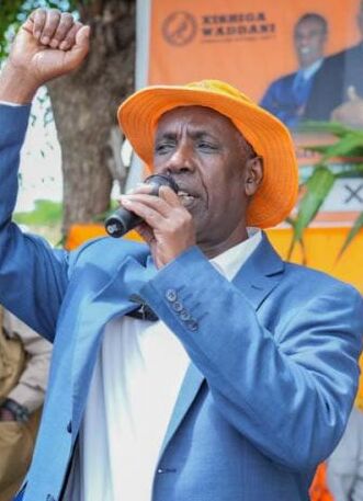 Mohamed Aw-Ali Abdi, Wakil Presiden (petahana)