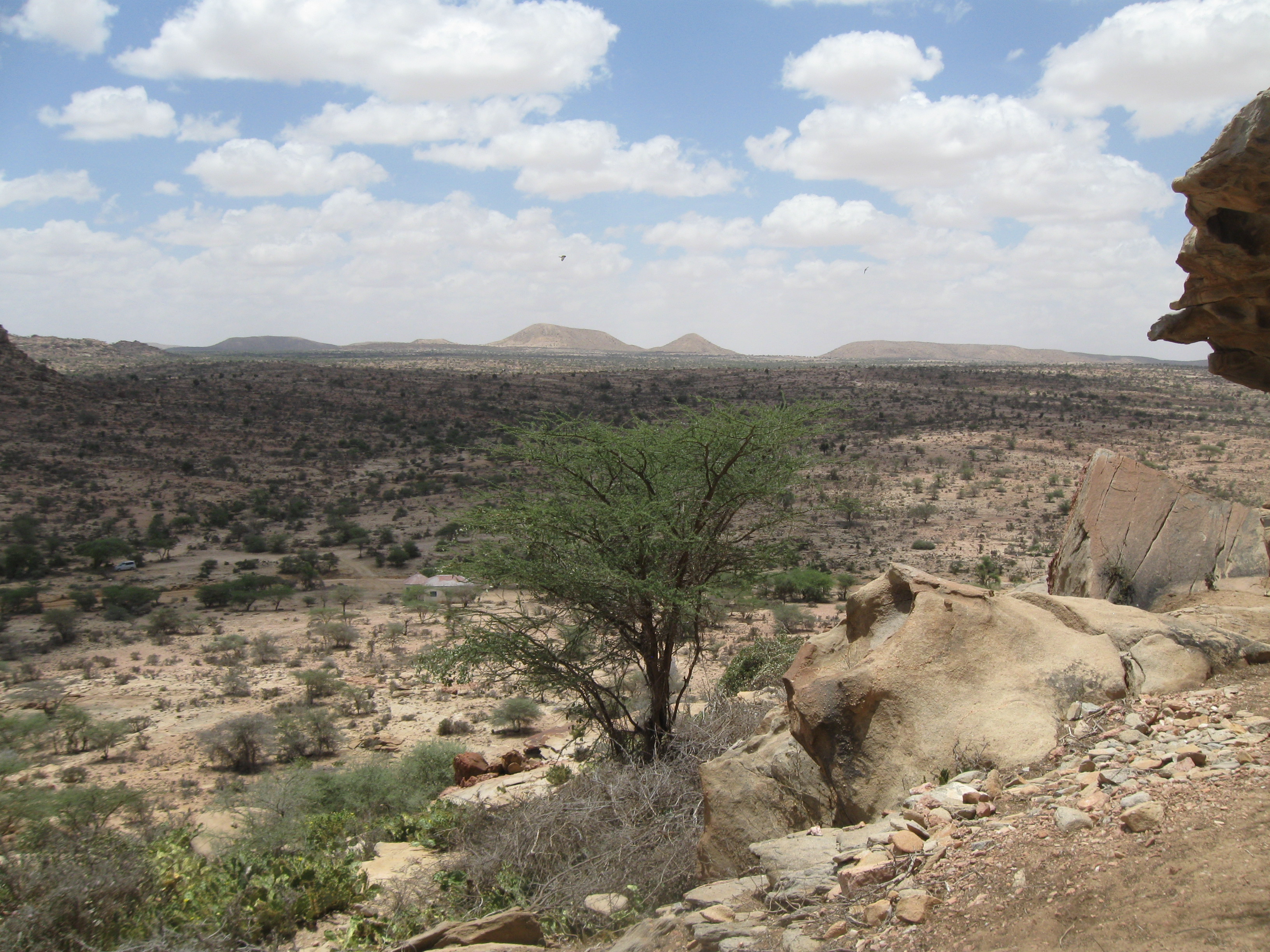 Pedesaan Somaliland