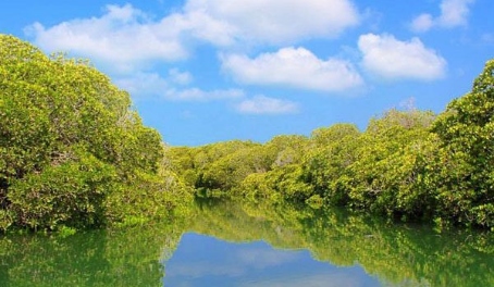 Sacadin, Kepulauan Zeila